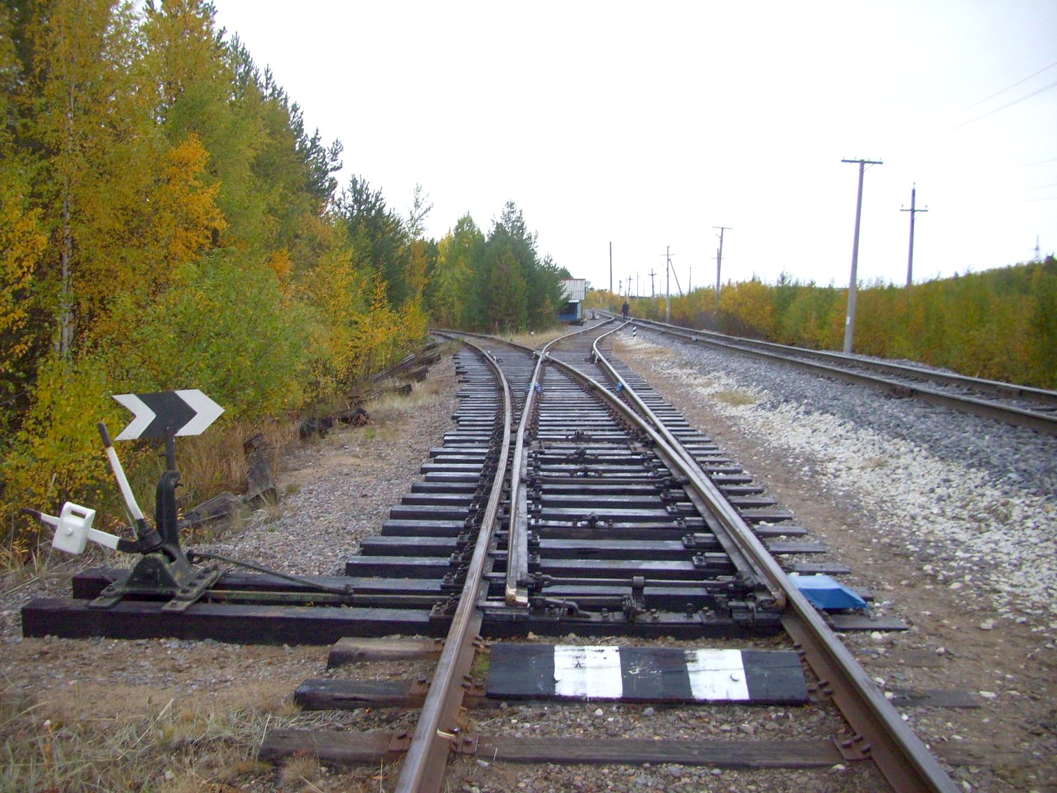 Железнодорожная линия Исакогорка — Северодвинск — Нёнокса
  —  фотографии, сделанные в 2010 году (часть 16)