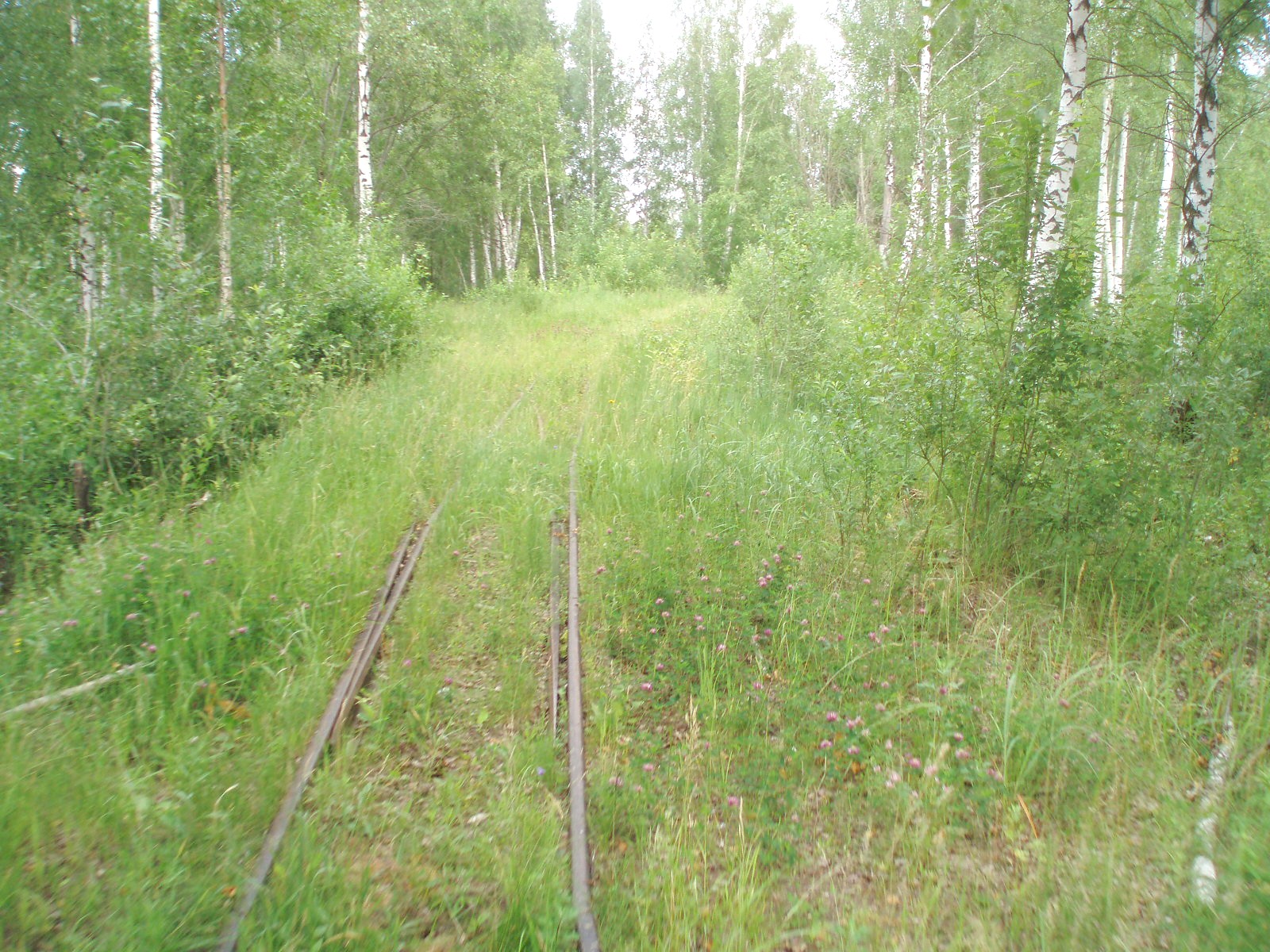 Узкоколейная железная дорога торфопредприятия «Полистовское-1»  — фотографии, сделанные в 2007 году (часть 7)