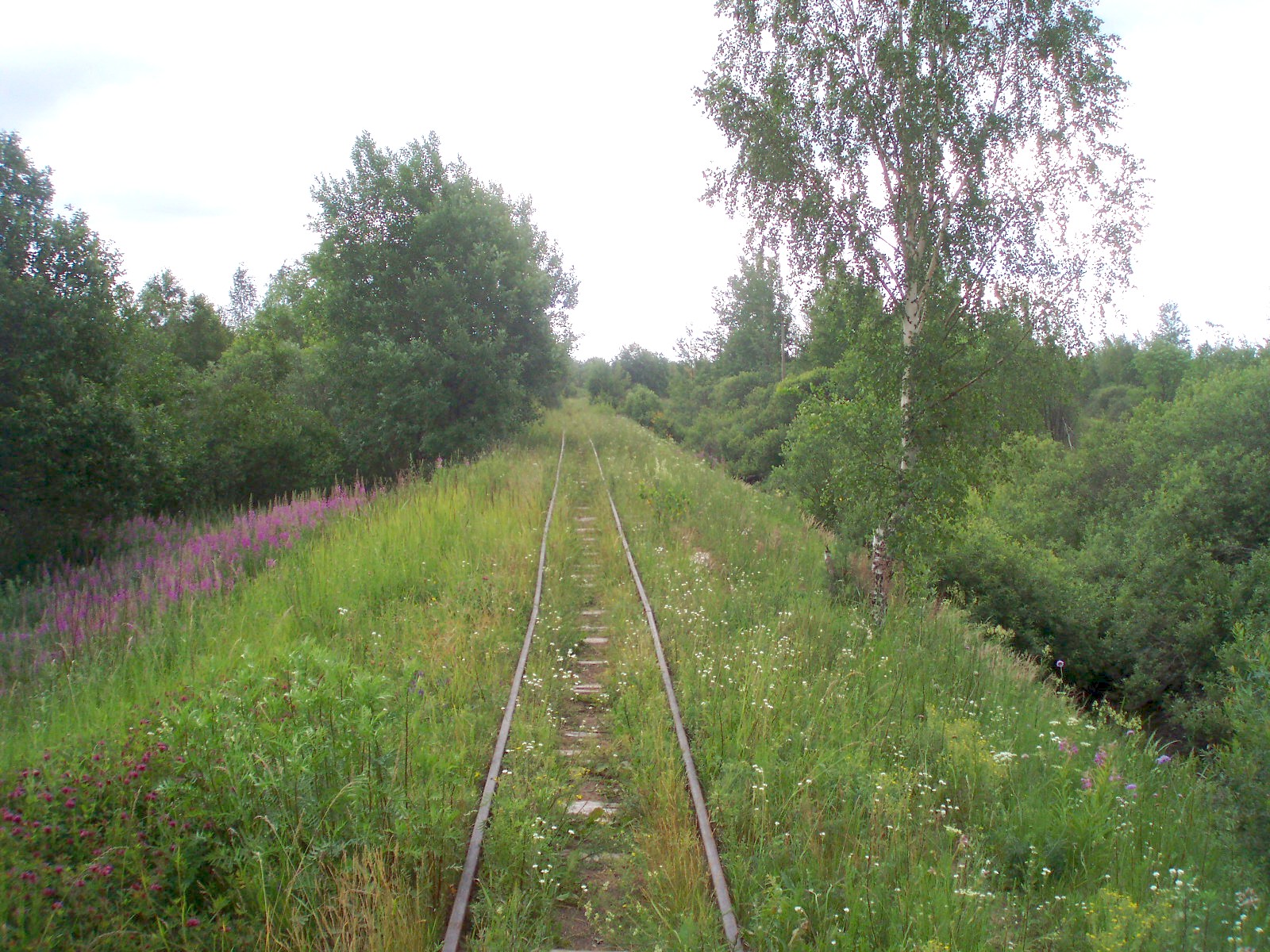Узкоколейная железная дорога торфопредприятия «Полистовское-1»  — фотографии, сделанные в 2007 году (часть 3)