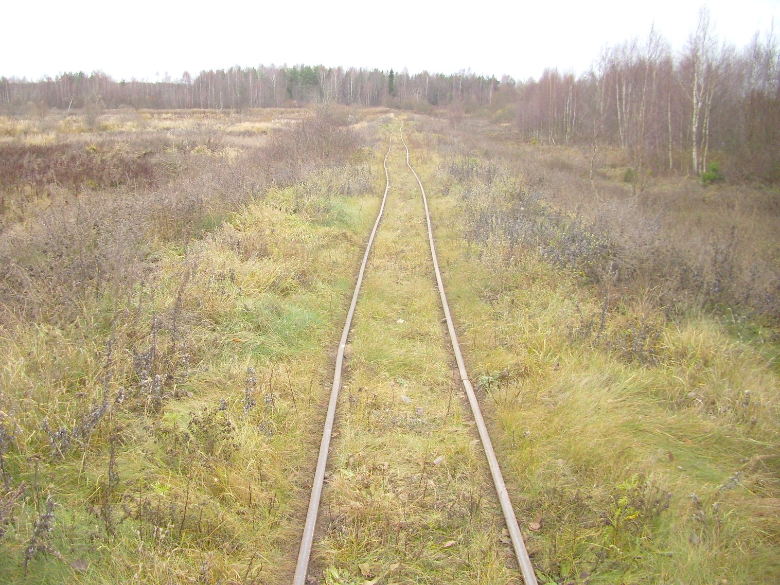 Узкоколейная  железная дорога торфопредприятия «Туршовка» —  фотографии, сделанные в 2011 году (часть 8)