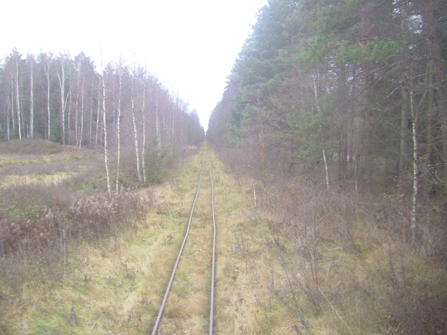 Узкоколейная  железная дорога торфопредприятия «Туршовка» —  фотографии, сделанные в 2011 году (часть 2)
