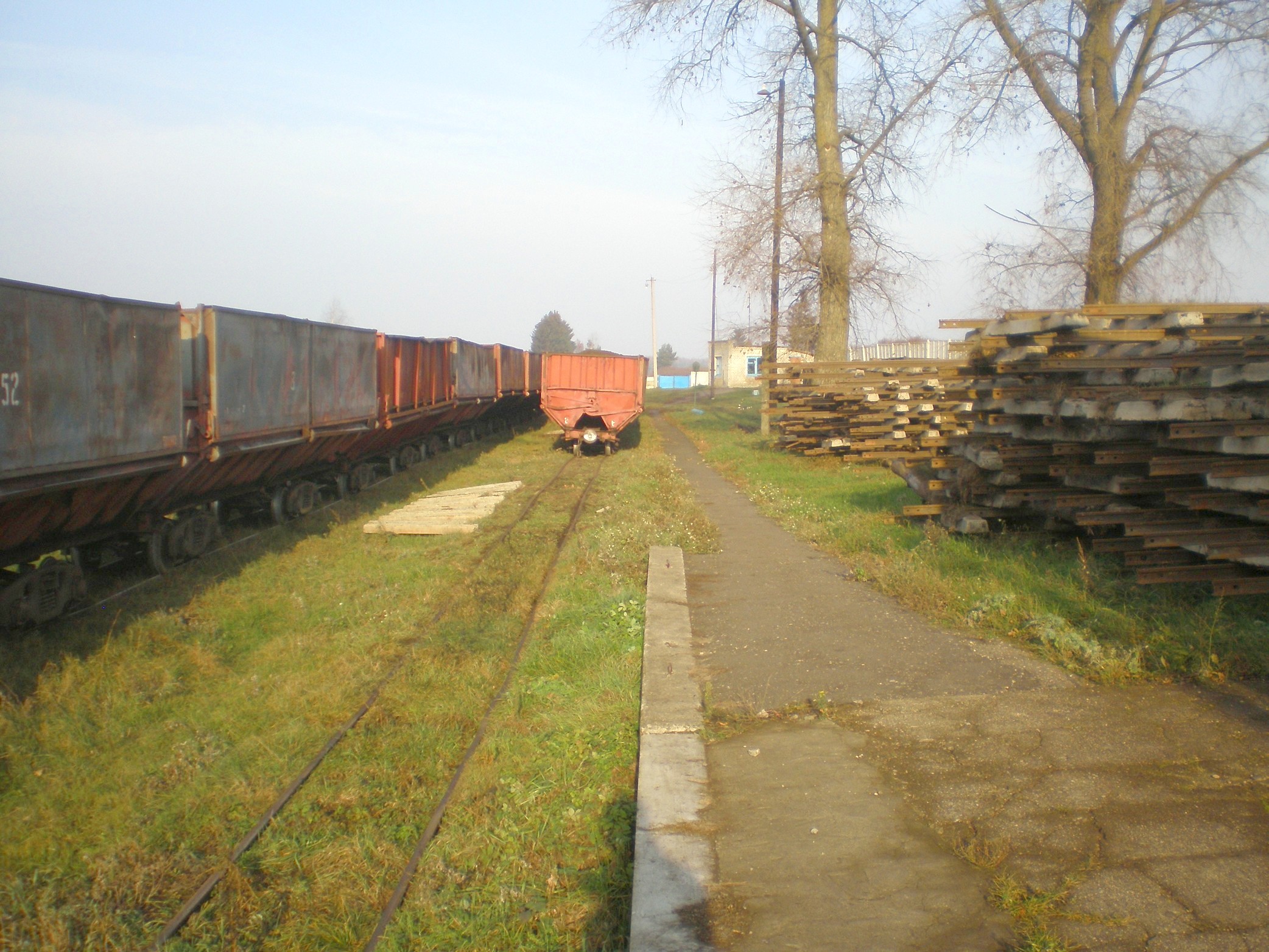 Узкоколейная  железная дорога   торфопредприятия «Усяж» —  фотографии, сделанные в 2008 году (часть 11)