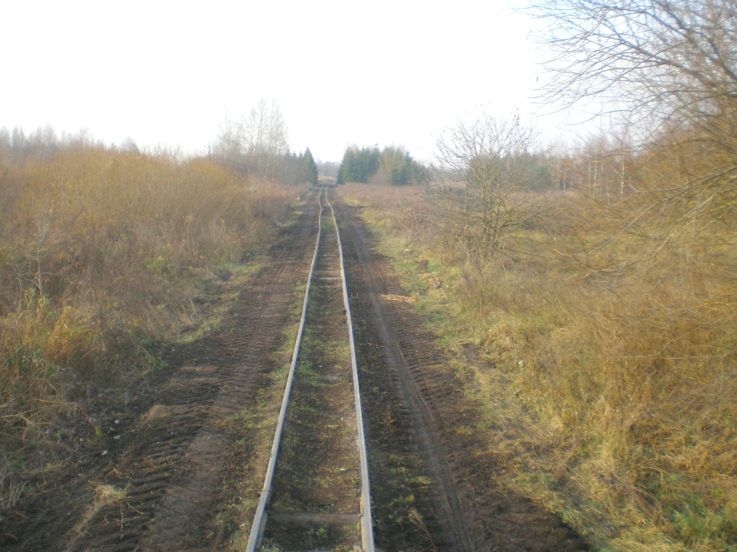 Узкоколейная  железная дорога   торфопредприятия «Усяж» —  фотографии, сделанные в 2008 году (часть 17)