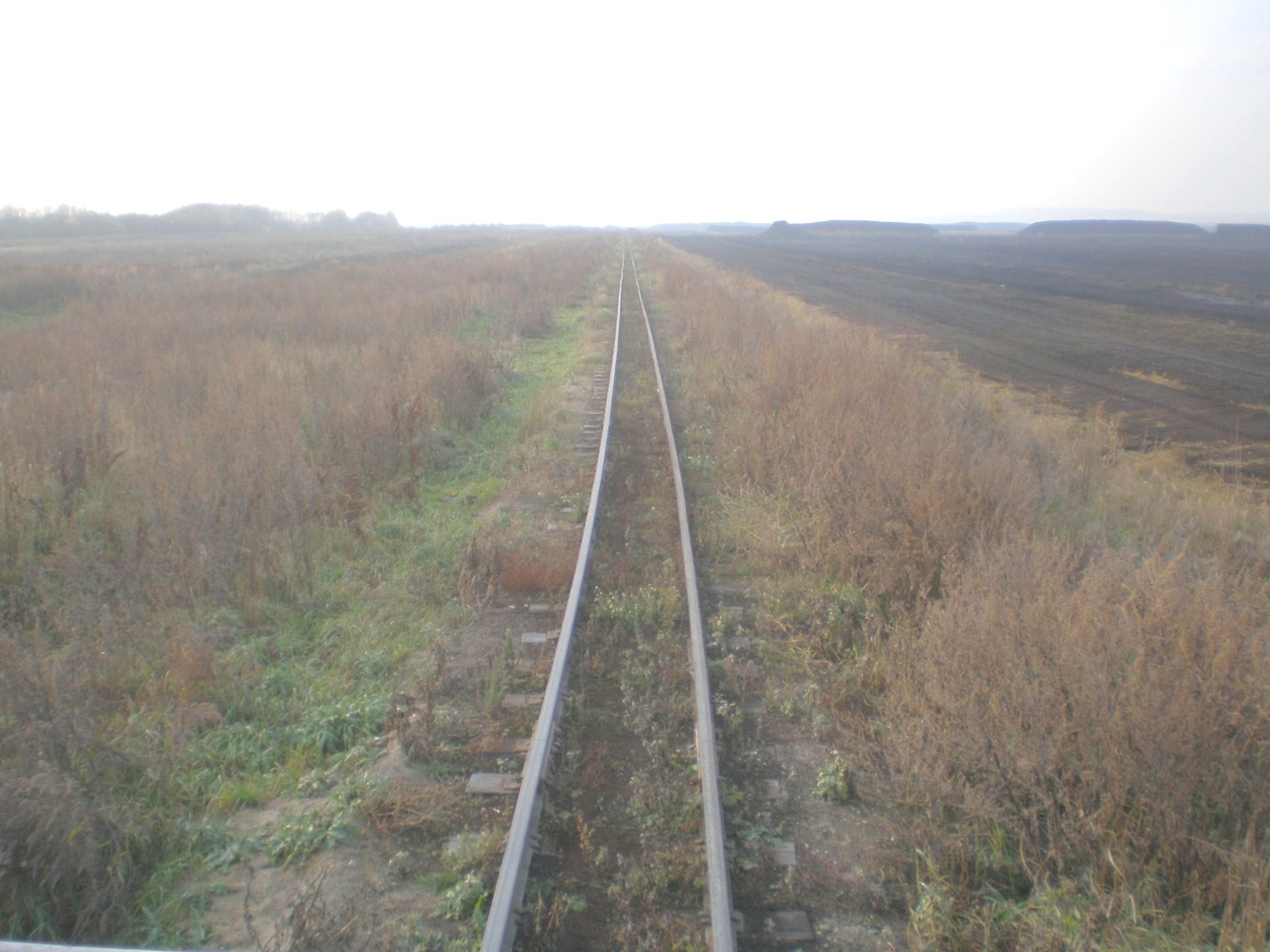 Узкоколейная  железная дорога   торфопредприятия «Усяж» —  фотографии, сделанные в 2008 году (часть 18)
