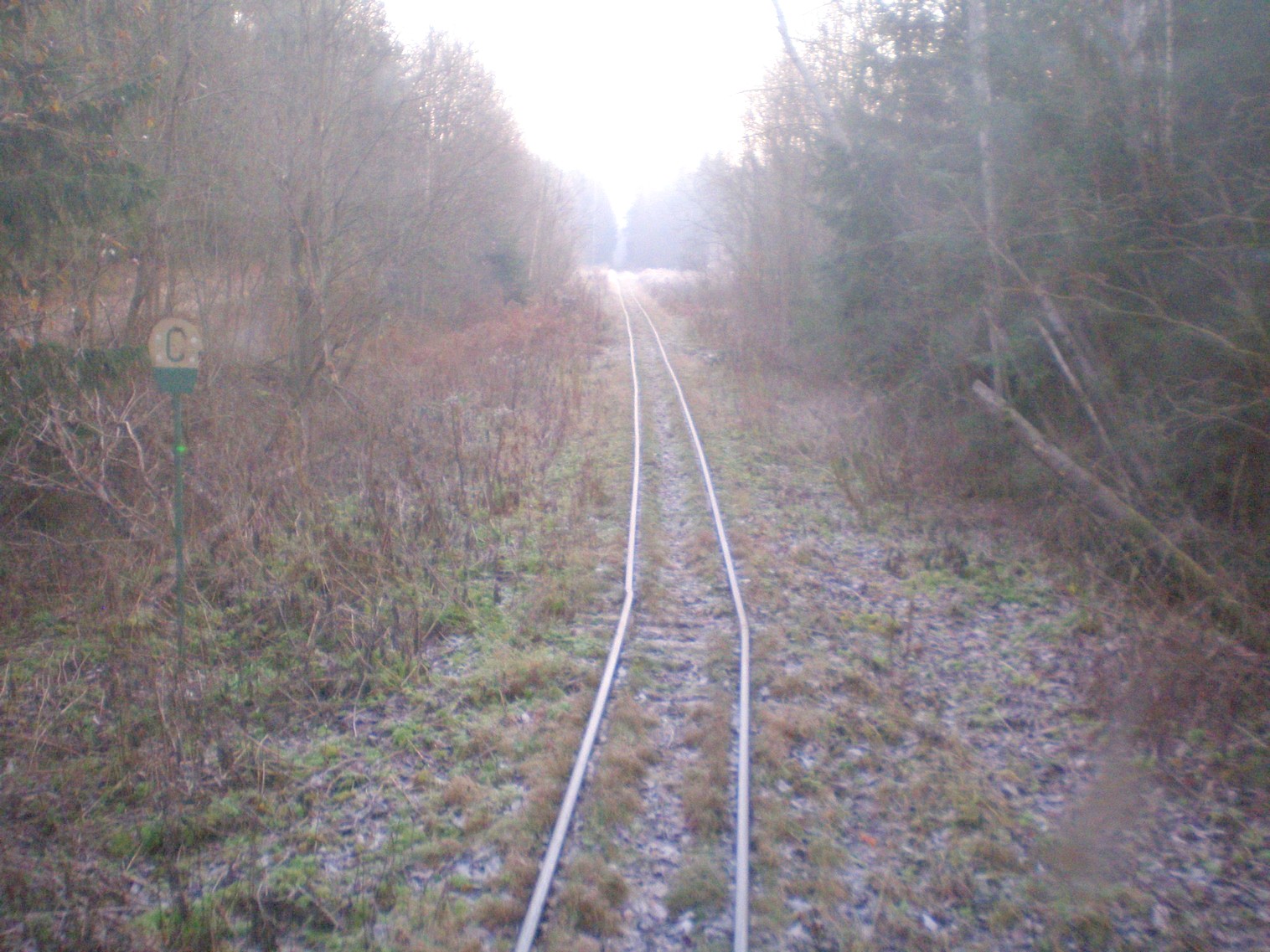 Узкоколейная  железная дорога   торфопредприятия «Усяж» —  фотографии, сделанные в 2008 году (часть 3)