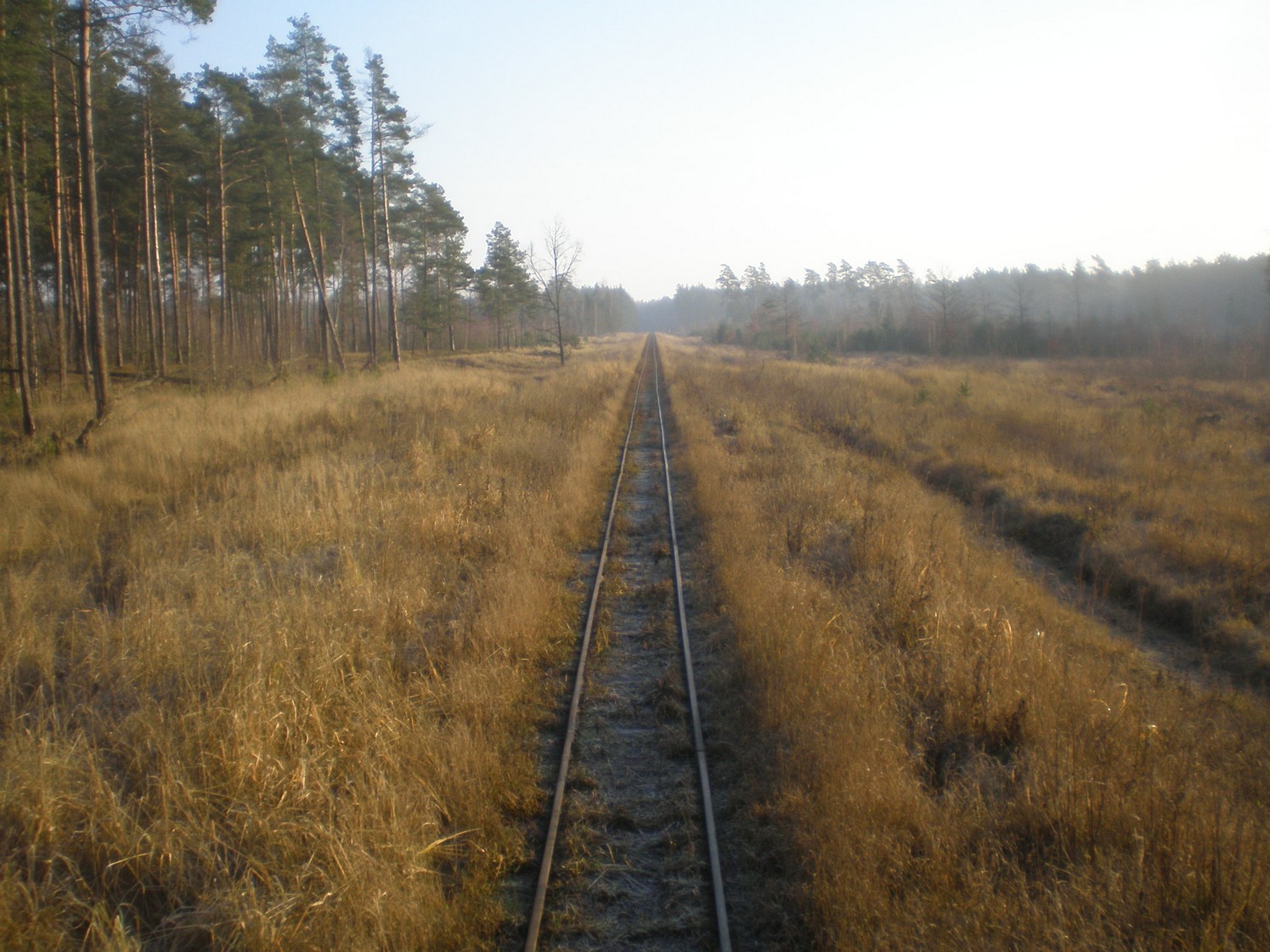 Узкоколейная железная дорога торфопредприятия «Вертелишки» — фотографии, сделанные в 2008 году (часть 6)