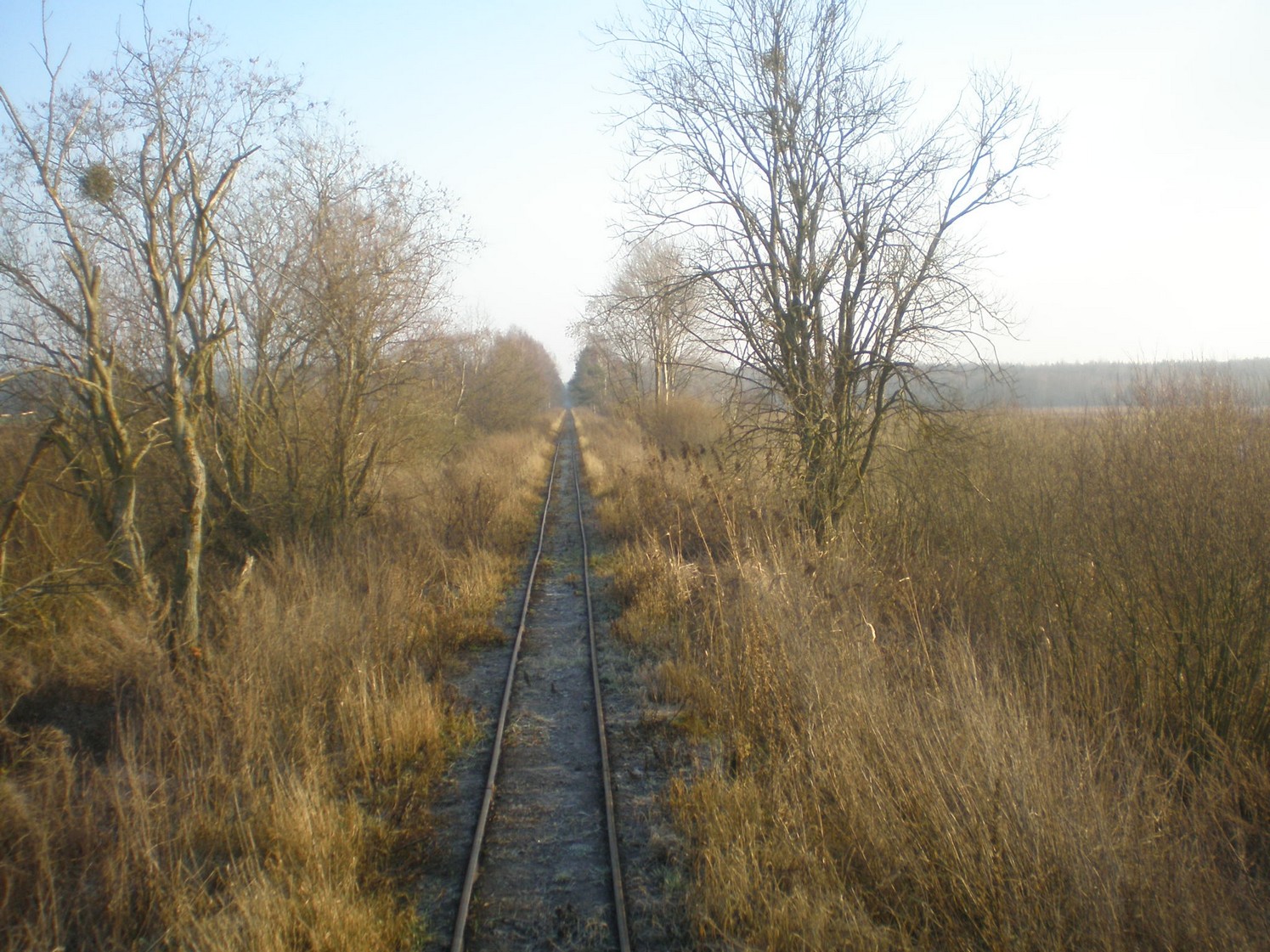Узкоколейная железная дорога торфопредприятия «Вертелишки» — фотографии, сделанные в 2008 году (часть 8)