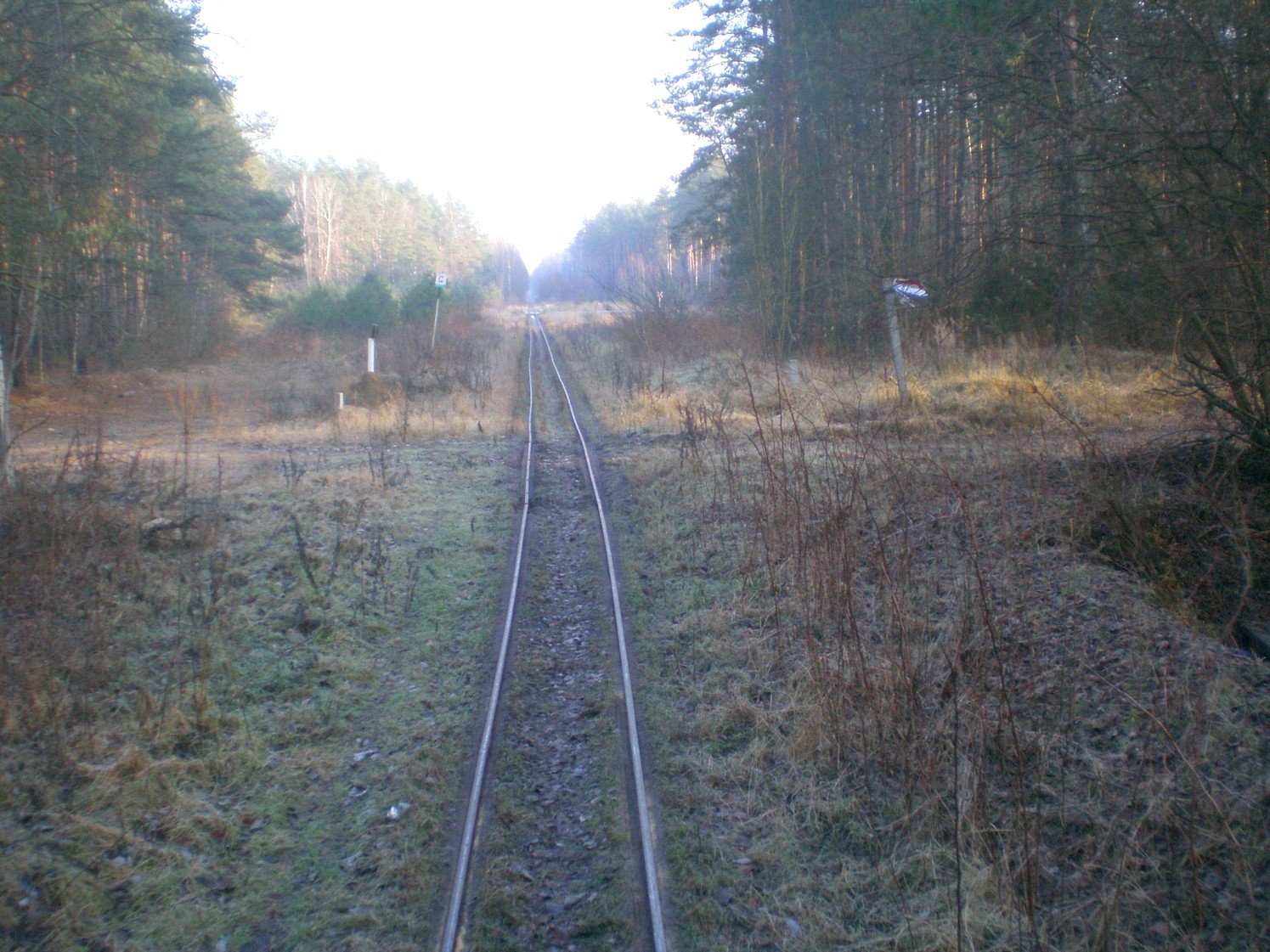 Узкоколейная железная дорога торфопредприятия «Вертелишки» — фотографии, сделанные в 2008 году (часть 10)