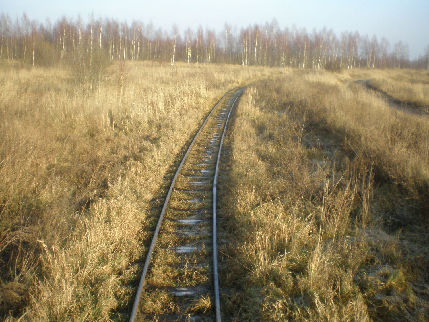 Узкоколейная железная дорога торфопредприятия «Вертелишки» — фотографии, сделанные в 2008 году (часть 13)