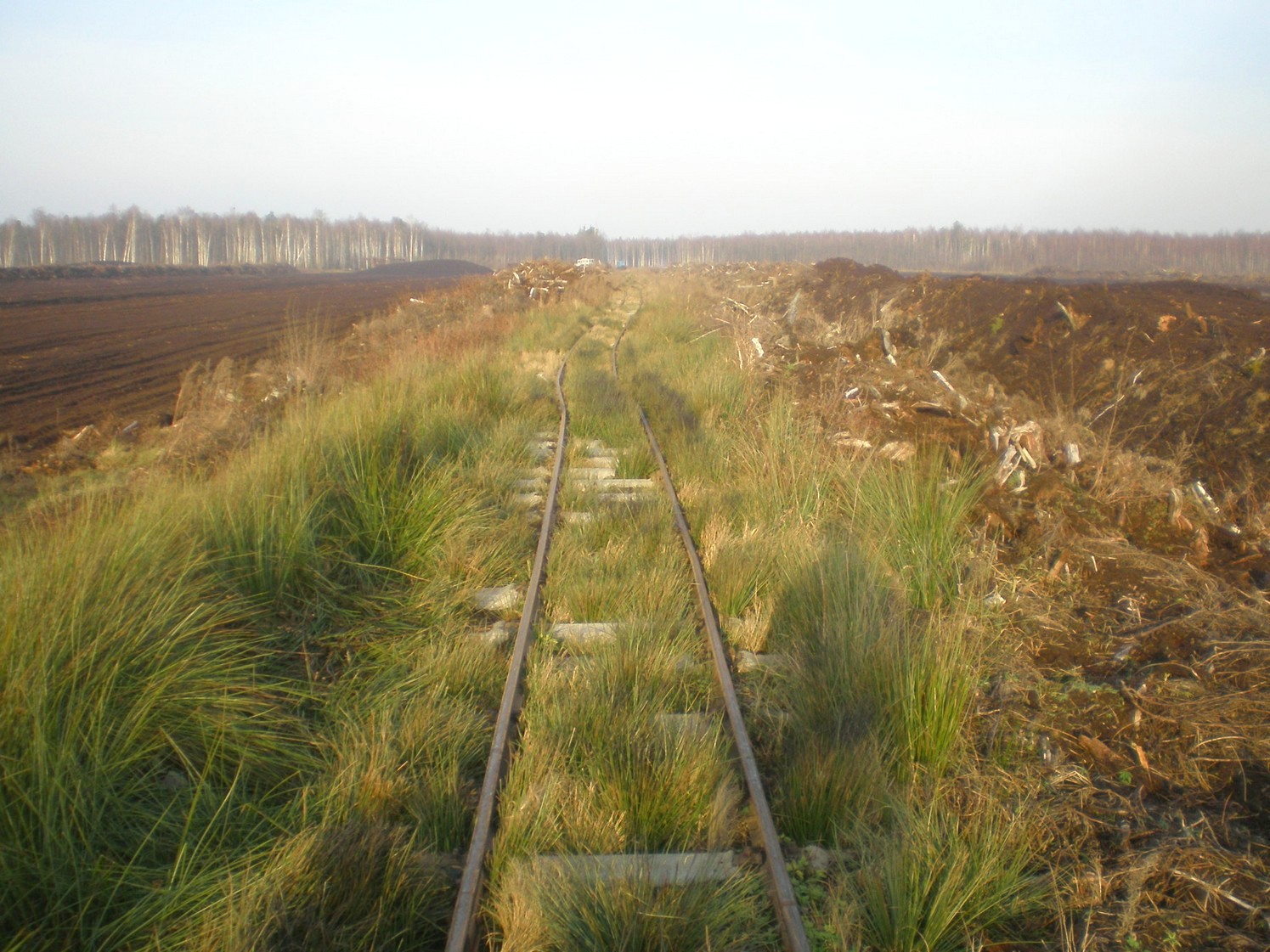 Узкоколейная железная дорога торфопредприятия «Вертелишки» — фотографии, сделанные в 2008 году (часть 15)