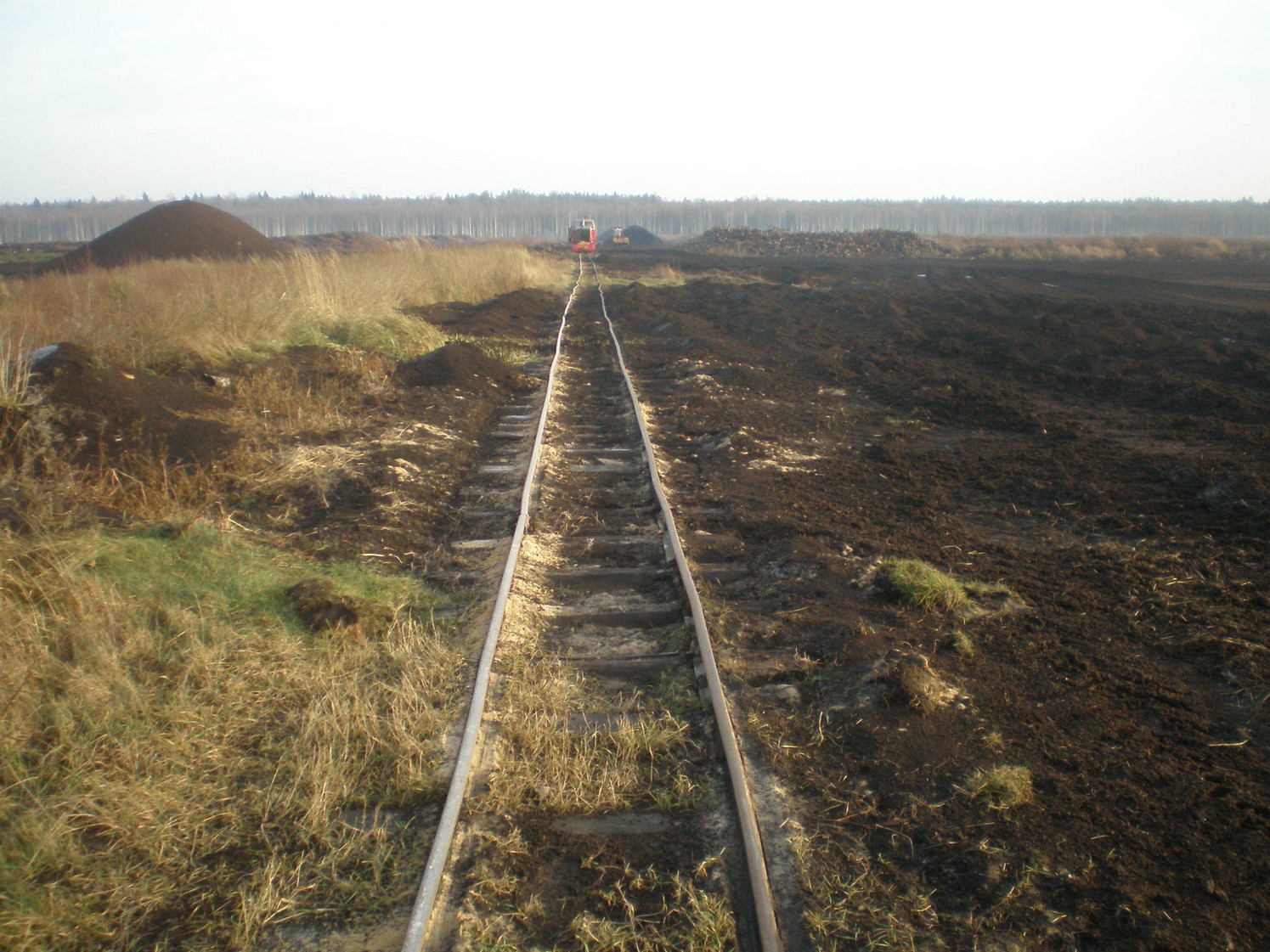 Узкоколейная железная дорога торфопредприятия «Вертелишки» — фотографии, сделанные в 2008 году (часть 16)