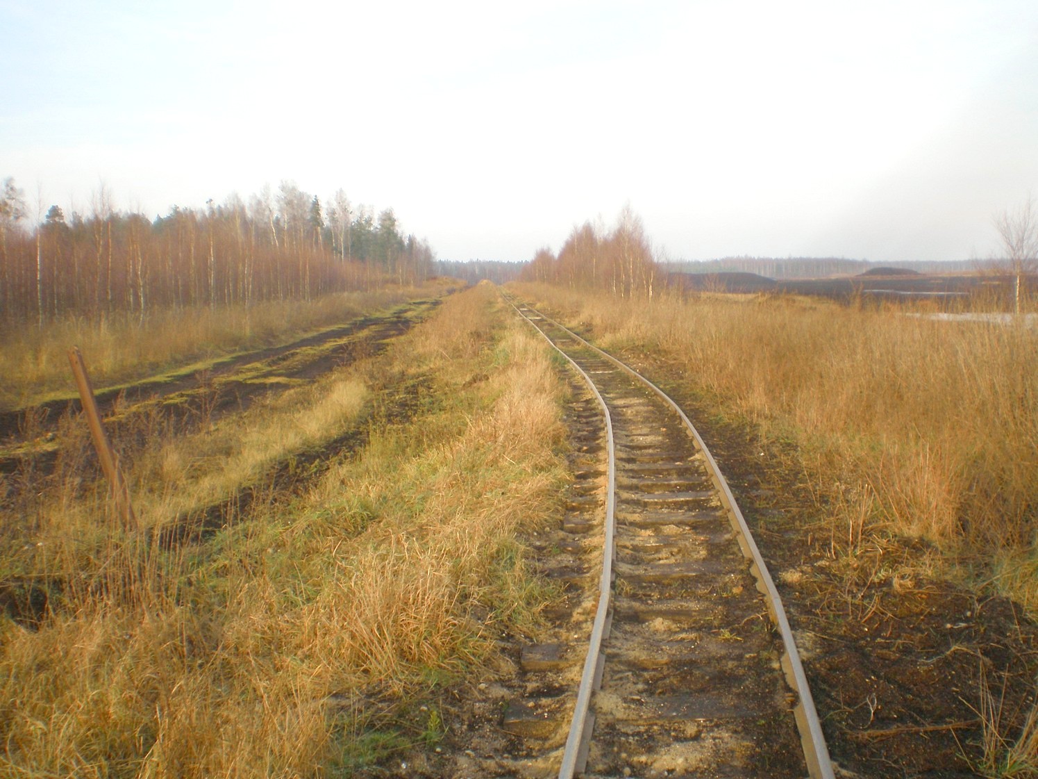 Узкоколейная железная дорога торфопредприятия «Вертелишки» — фотографии, сделанные в 2008 году (часть 17)
