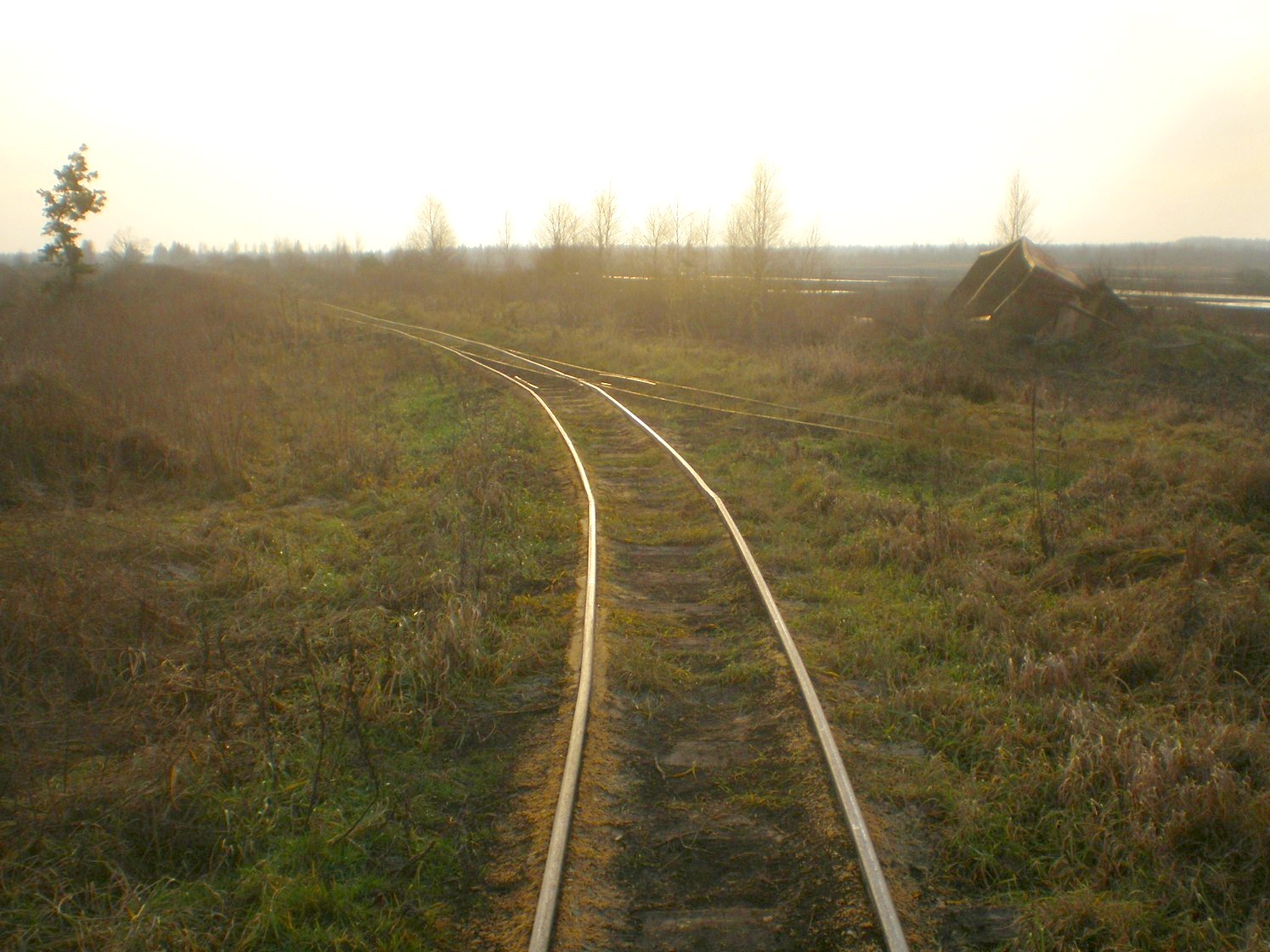 Узкоколейная железная дорога торфопредприятия «Вертелишки» — фотографии, сделанные в 2008 году (часть 18)