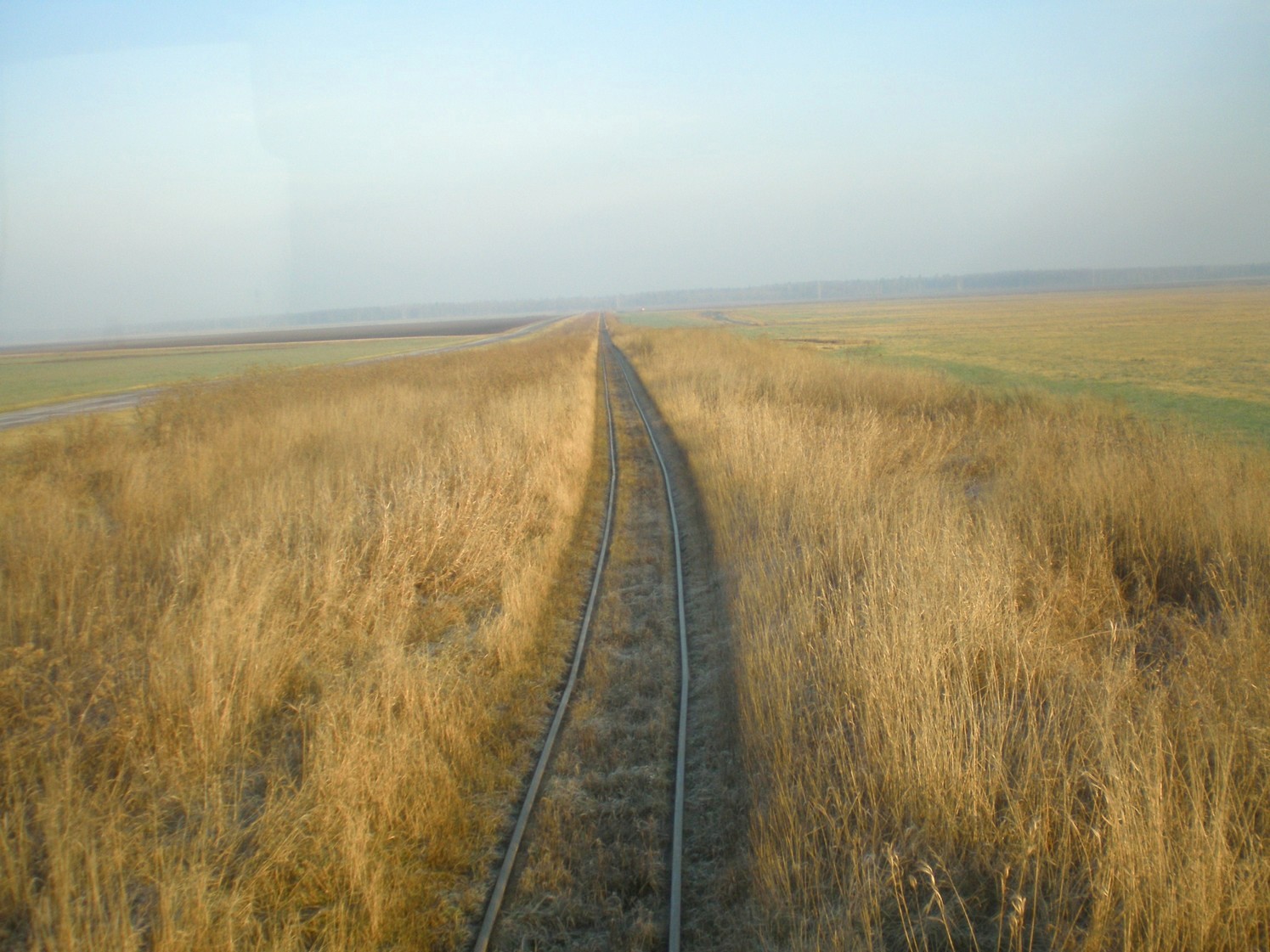 Узкоколейная железная дорога торфопредприятия «Вертелишки» — фотографии, сделанные в 2008 году (часть 5)