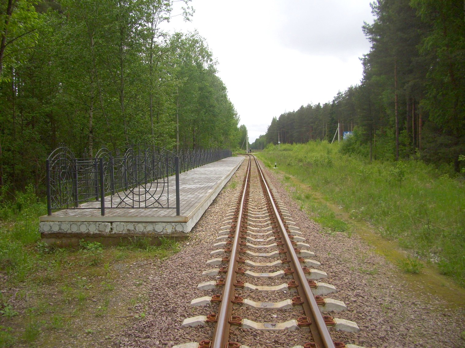 Ярославская (Малая Северная) детская железная дорога —  фотографии, сделанные в 2010 году (часть 7)