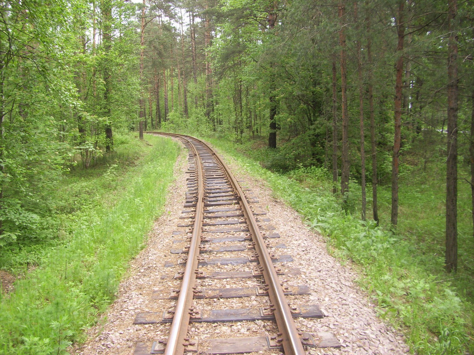 Ярославская (Малая Северная) детская железная дорога —  фотографии, сделанные в 2010 году (часть 9)