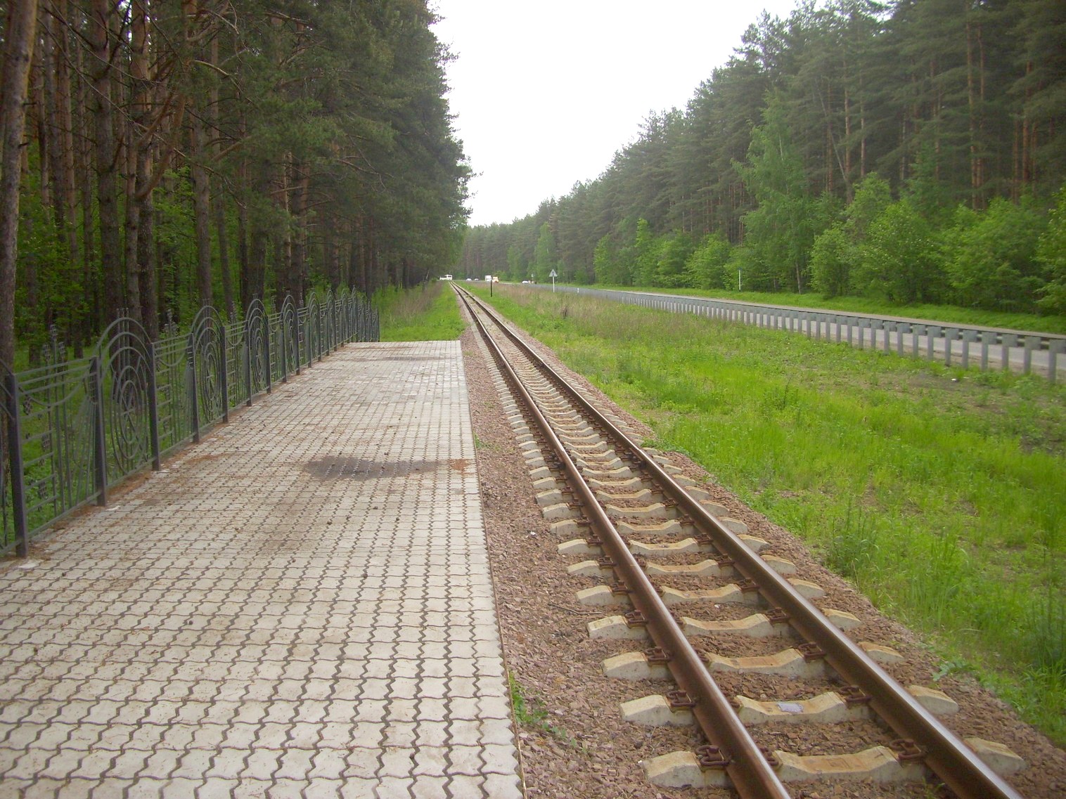 Ярославская (Малая Северная) детская железная дорога —  фотографии, сделанные в 2010 году (часть 10)