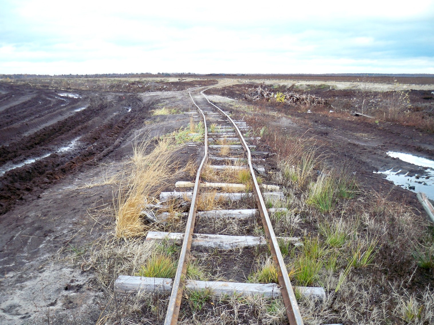 Узкоколейная железная дорога на участке «Зубково» торфопредприятия «Глинка» 
  —  фотографии, сделанные в 2012 году (часть 4)