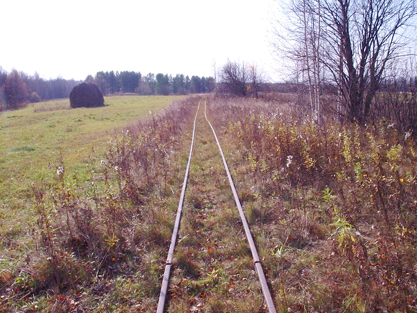 Узкоколейная железная дорога Басьяновского торфопредприятия - фотографии (часть 5)