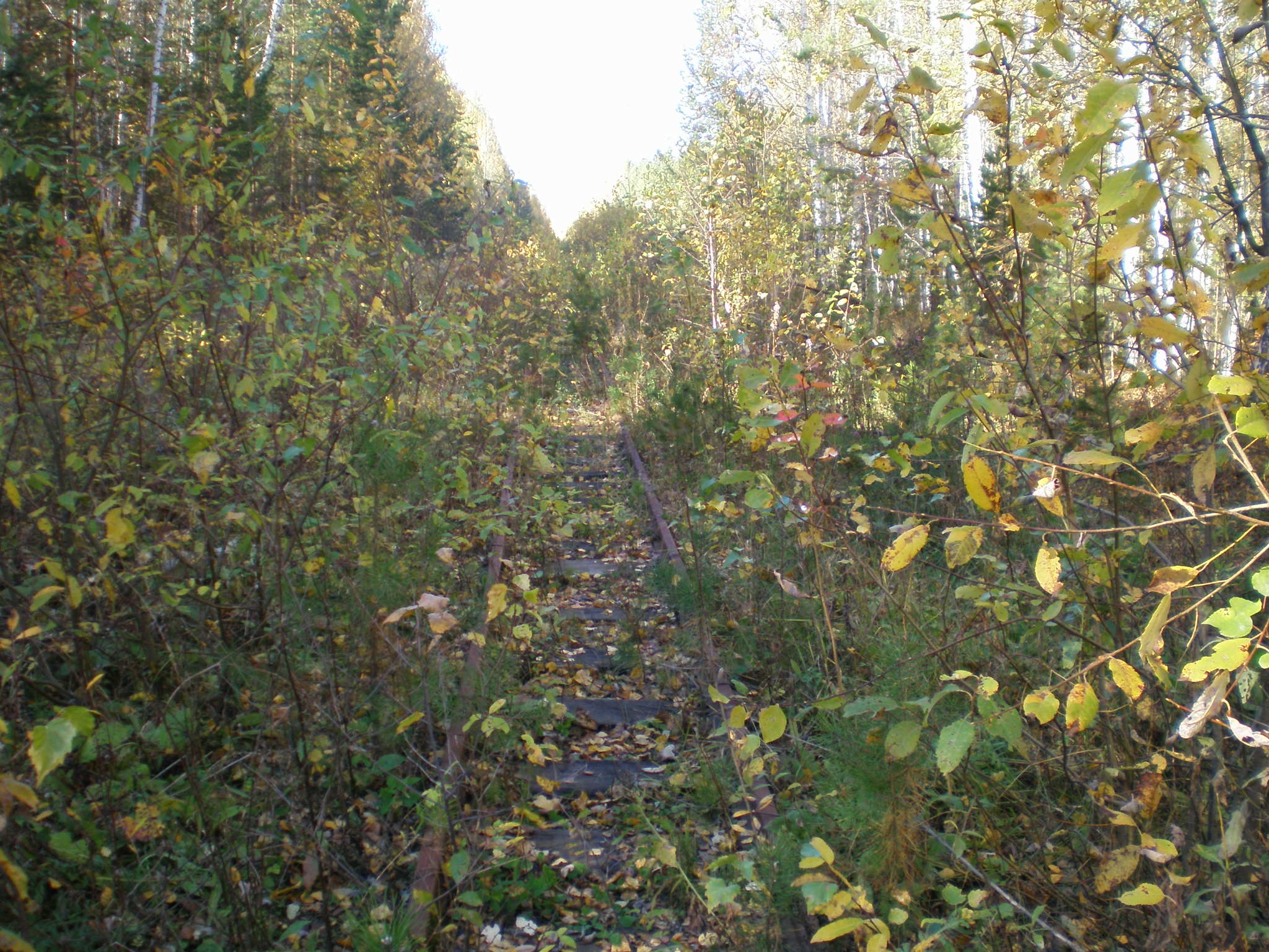 Узкоколейная железная дорога Шабровского талькового комбината — фотографии, сделанные в 2007 году (часть 3)