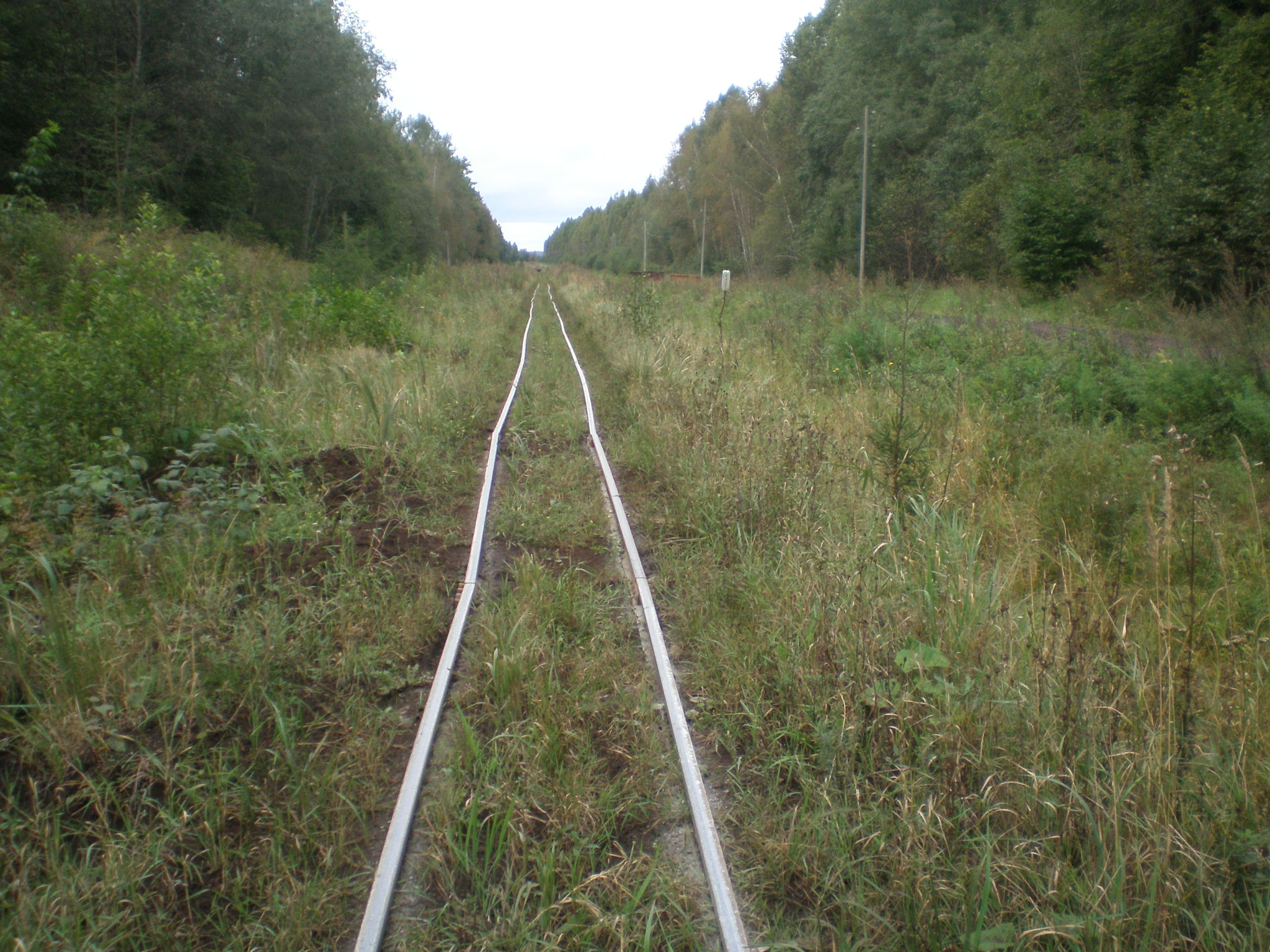 Узкоколейная железная дорога торфобрикетного завода Сангла — фотографии, сделанные в 2008 году (часть 7)