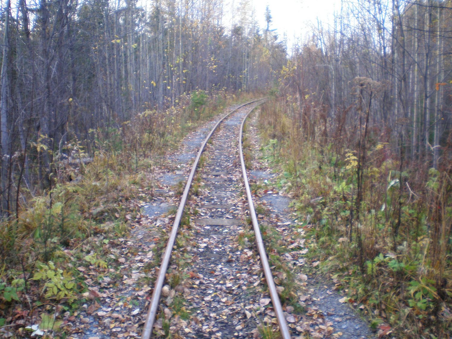Висимо-Уткинская узкоколейная железная дорога  — фотографии, сделанные в 2007 году (часть 10)