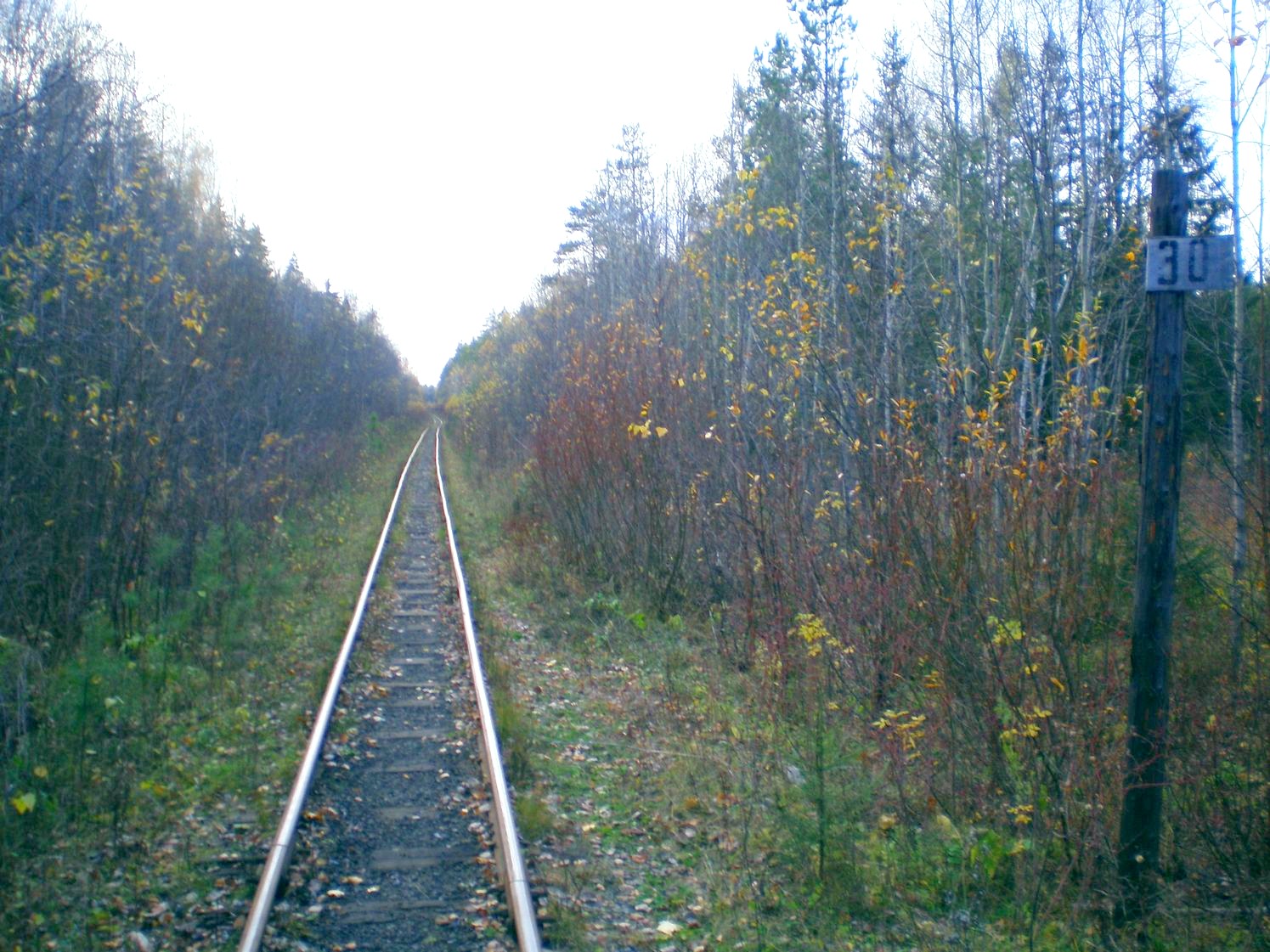 Висимо-Уткинская узкоколейная железная дорога  — фотографии, сделанные в 2007 году (часть 11)