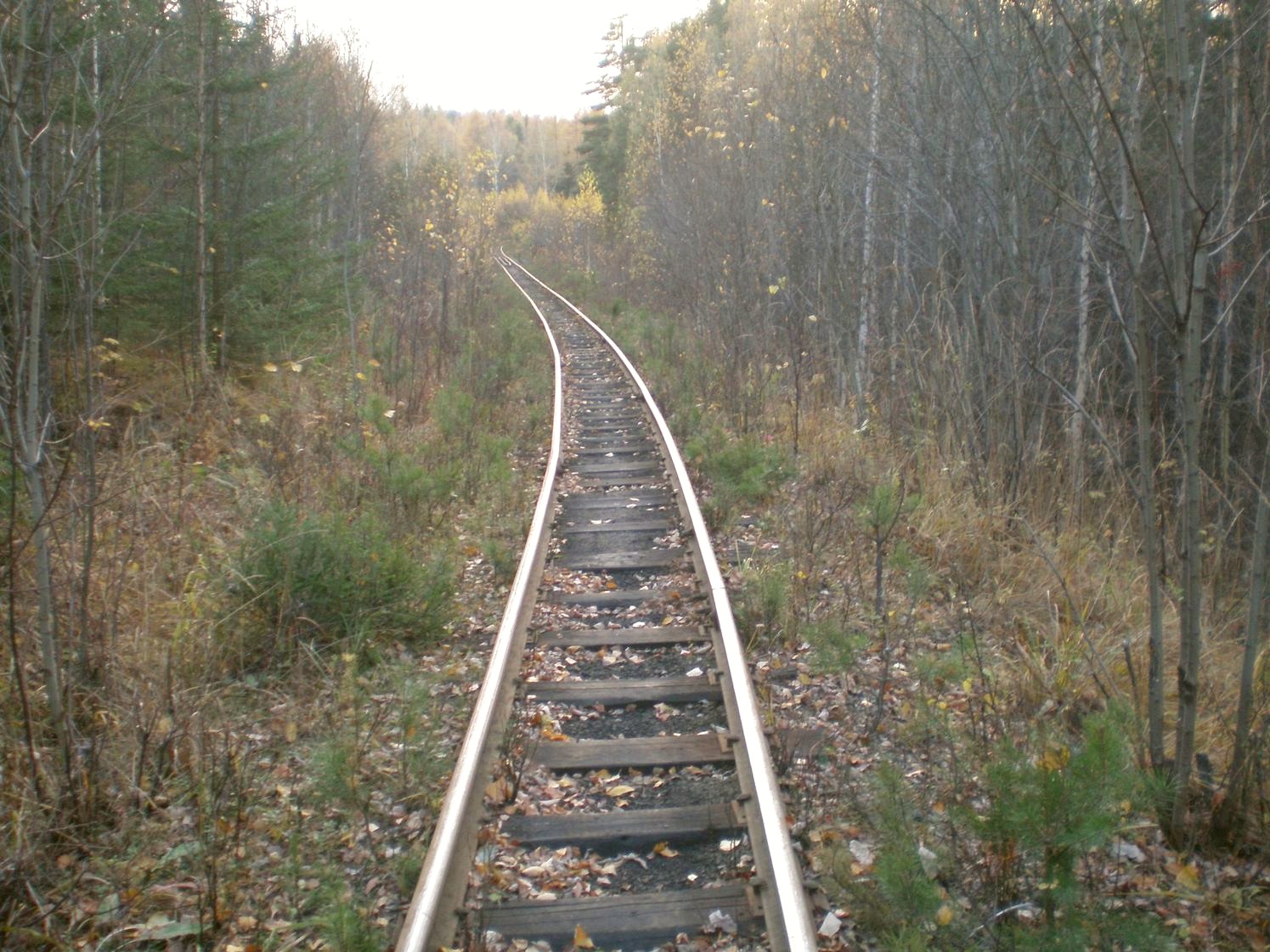 Висимо-Уткинская узкоколейная железная дорога  — фотографии, сделанные в 2007 году (часть 14)