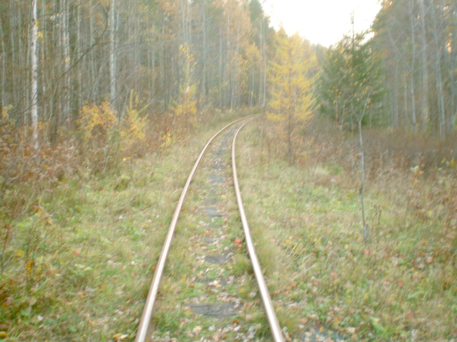 Висимо-Уткинская узкоколейная железная дорога  — фотографии, сделанные в 2007 году (часть 15)