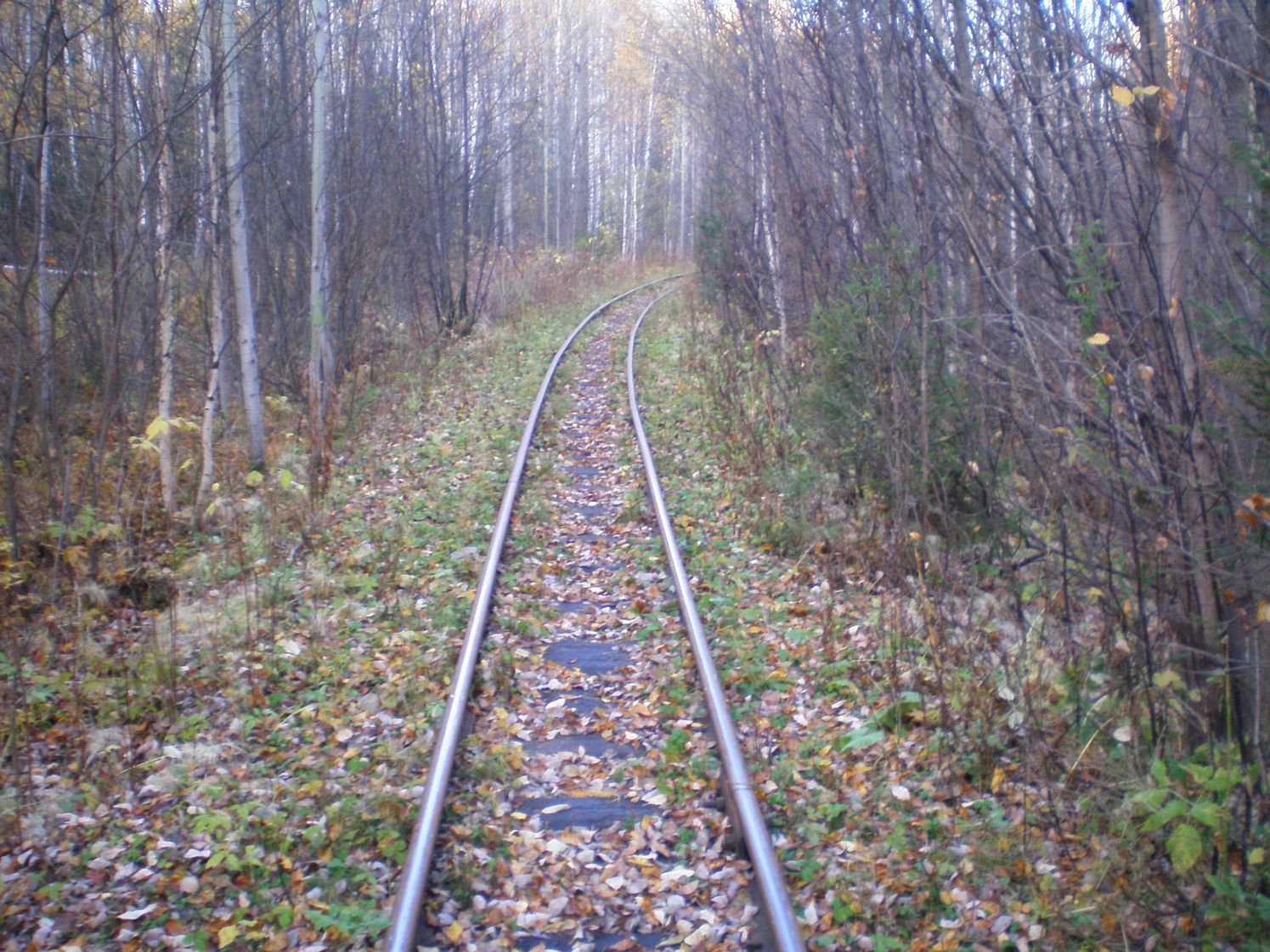 Висимо-Уткинская узкоколейная железная дорога  — фотографии, сделанные в 2007 году (часть 16)