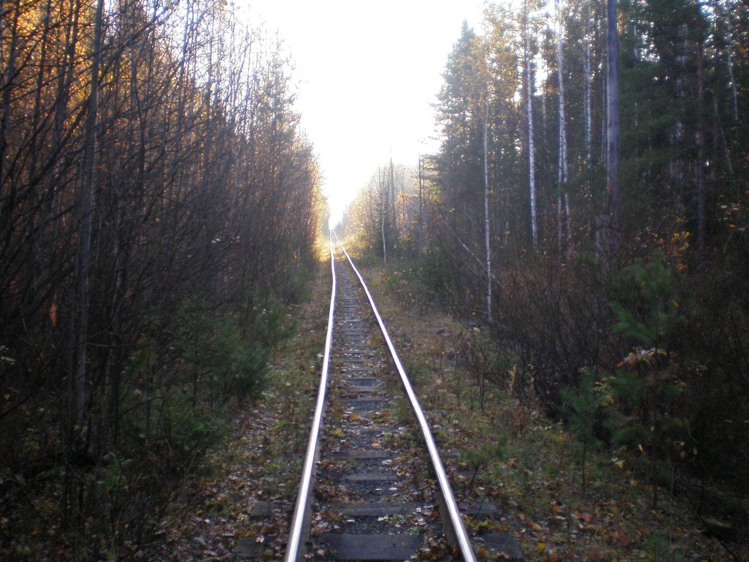 Висимо-Уткинская узкоколейная железная дорога  — фотографии, сделанные в 2007 году (часть 17)