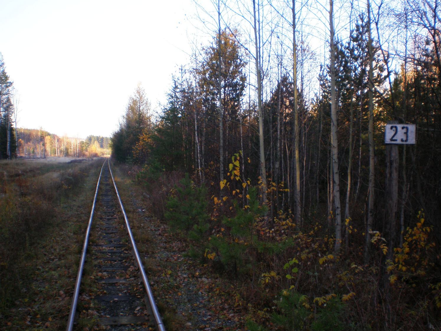 Висимо-Уткинская узкоколейная железная дорога  — фотографии, сделанные в 2007 году (часть 18)