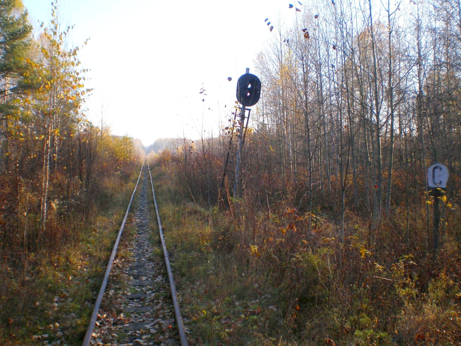Висимо-Уткинская узкоколейная железная дорога  — фотографии, сделанные в 2007 году (часть 20)