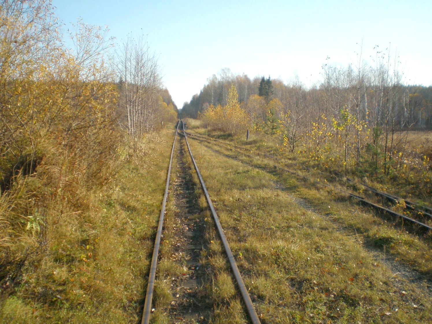 Висимо-Уткинская узкоколейная железная дорога  — фотографии, сделанные в 2007 году (часть 21)