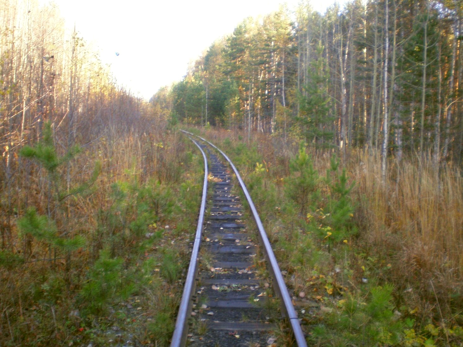 Висимо-Уткинская узкоколейная железная дорога  — фотографии, сделанные в 2007 году (часть 22)