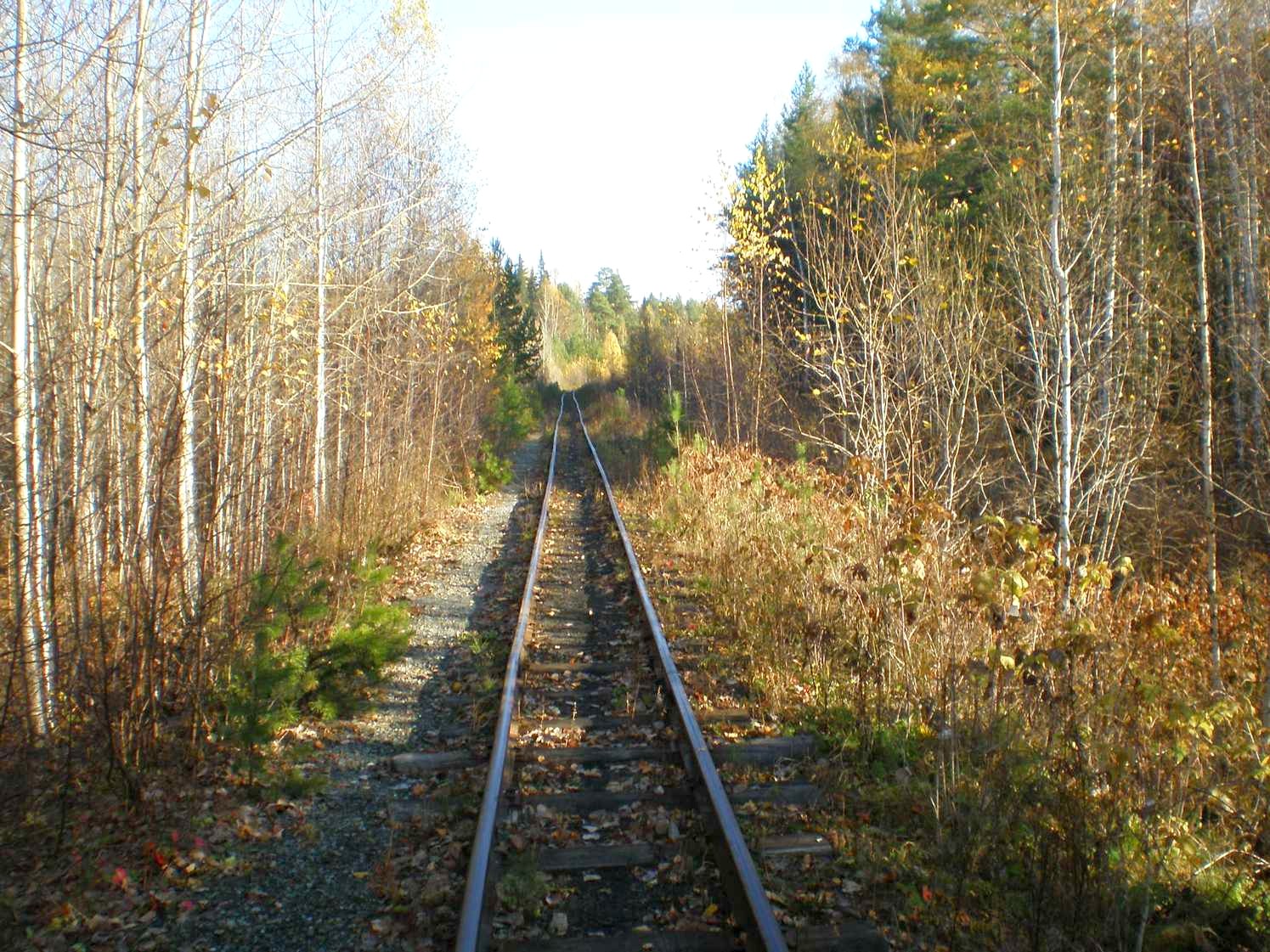 Висимо-Уткинская узкоколейная железная дорога  — фотографии, сделанные в 2007 году (часть 23)