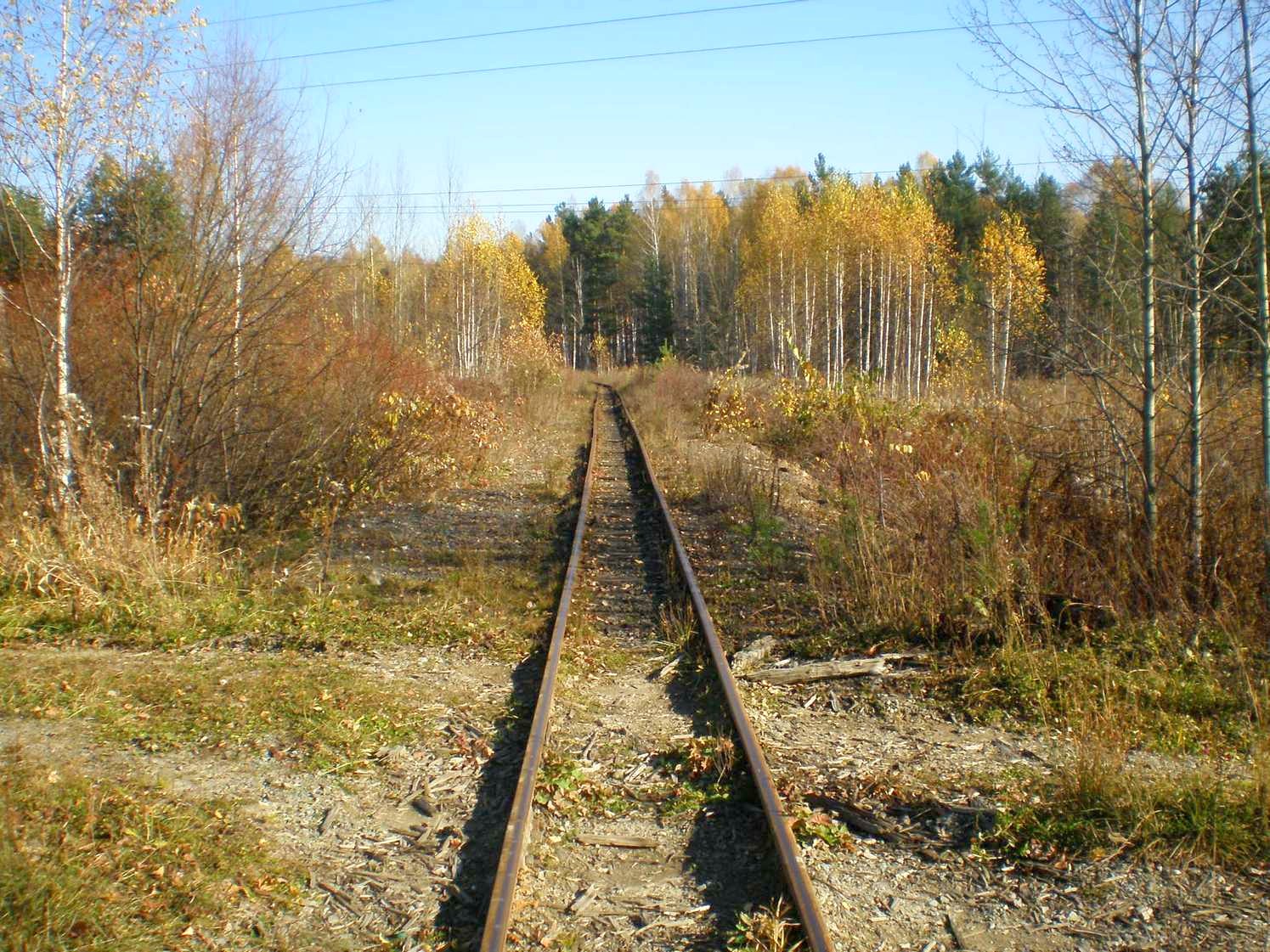 Висимо-Уткинская узкоколейная железная дорога  — фотографии, сделанные в 2007 году (часть 24)