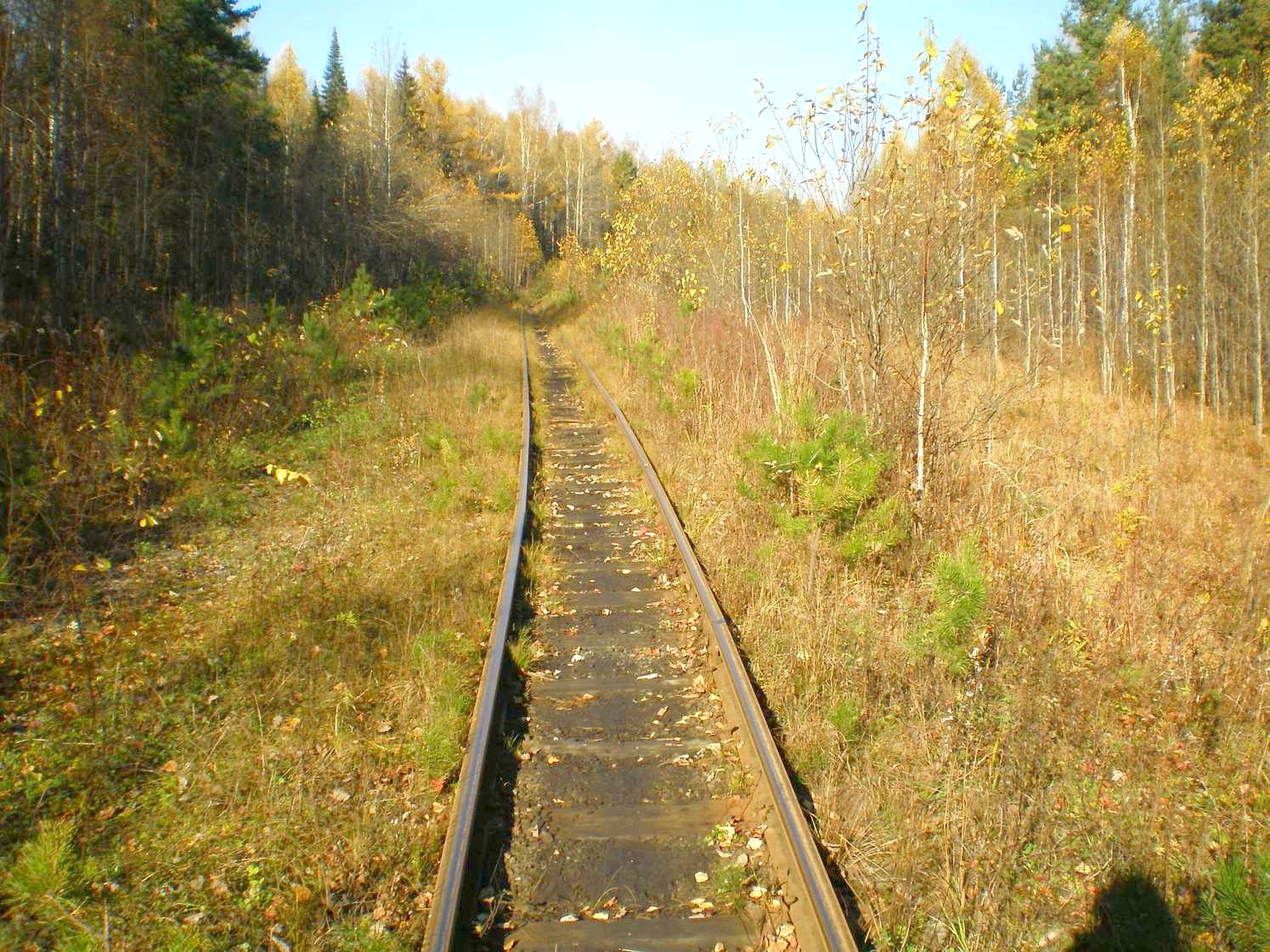 Висимо-Уткинская узкоколейная железная дорога  — фотографии, сделанные в 2007 году (часть 25)
