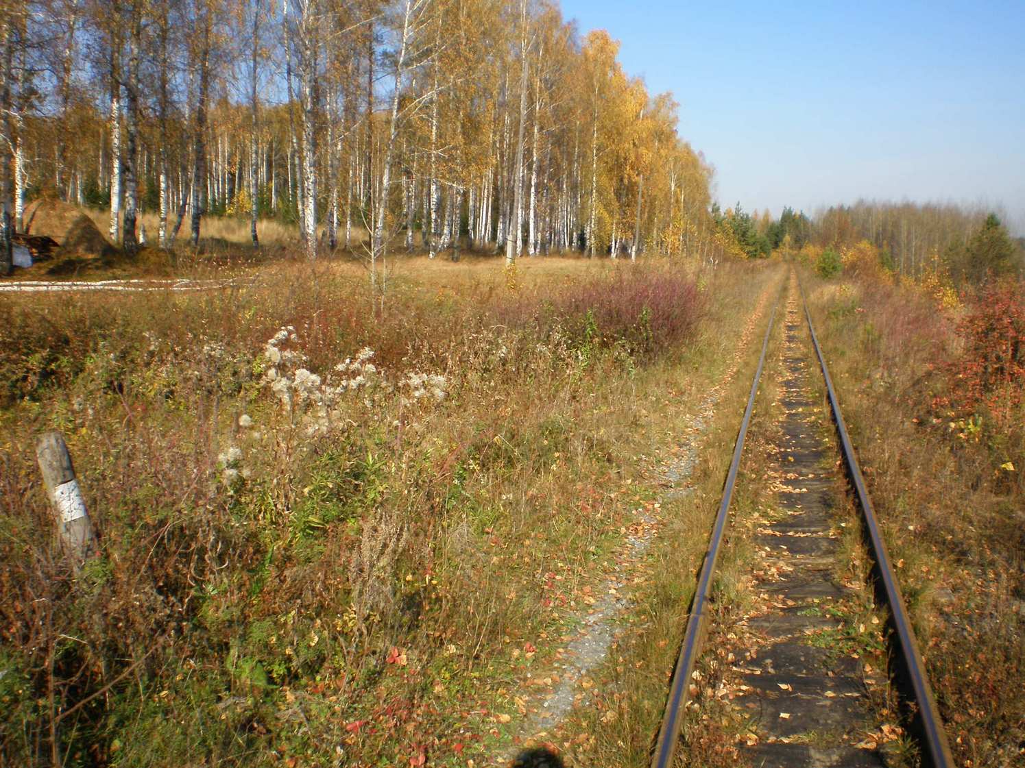 Висимо-Уткинская узкоколейная железная дорога  — фотографии, сделанные в 2007 году (часть 26)
