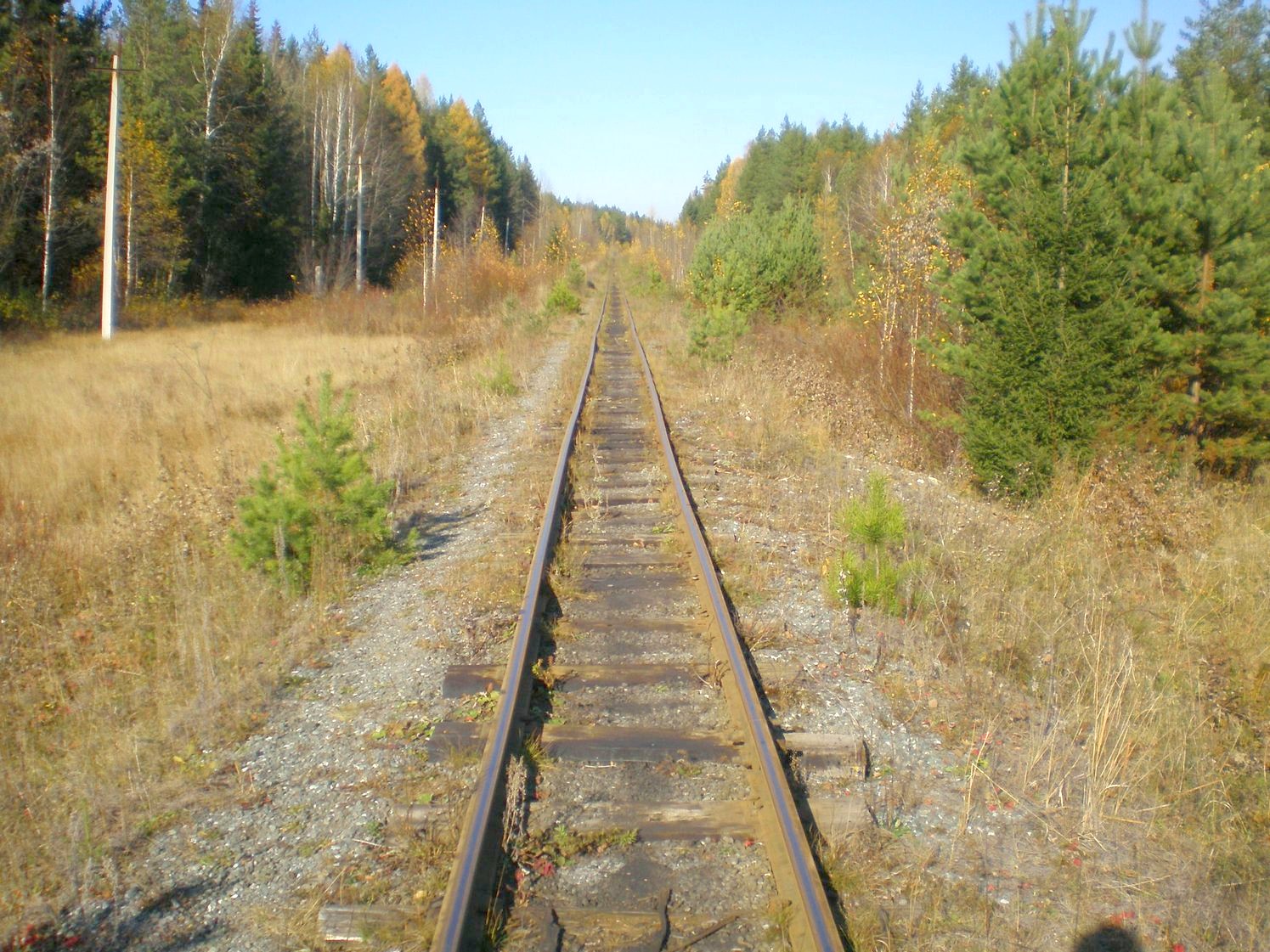 Висимо-Уткинская узкоколейная железная дорога  — фотографии, сделанные в 2007 году (часть 28)