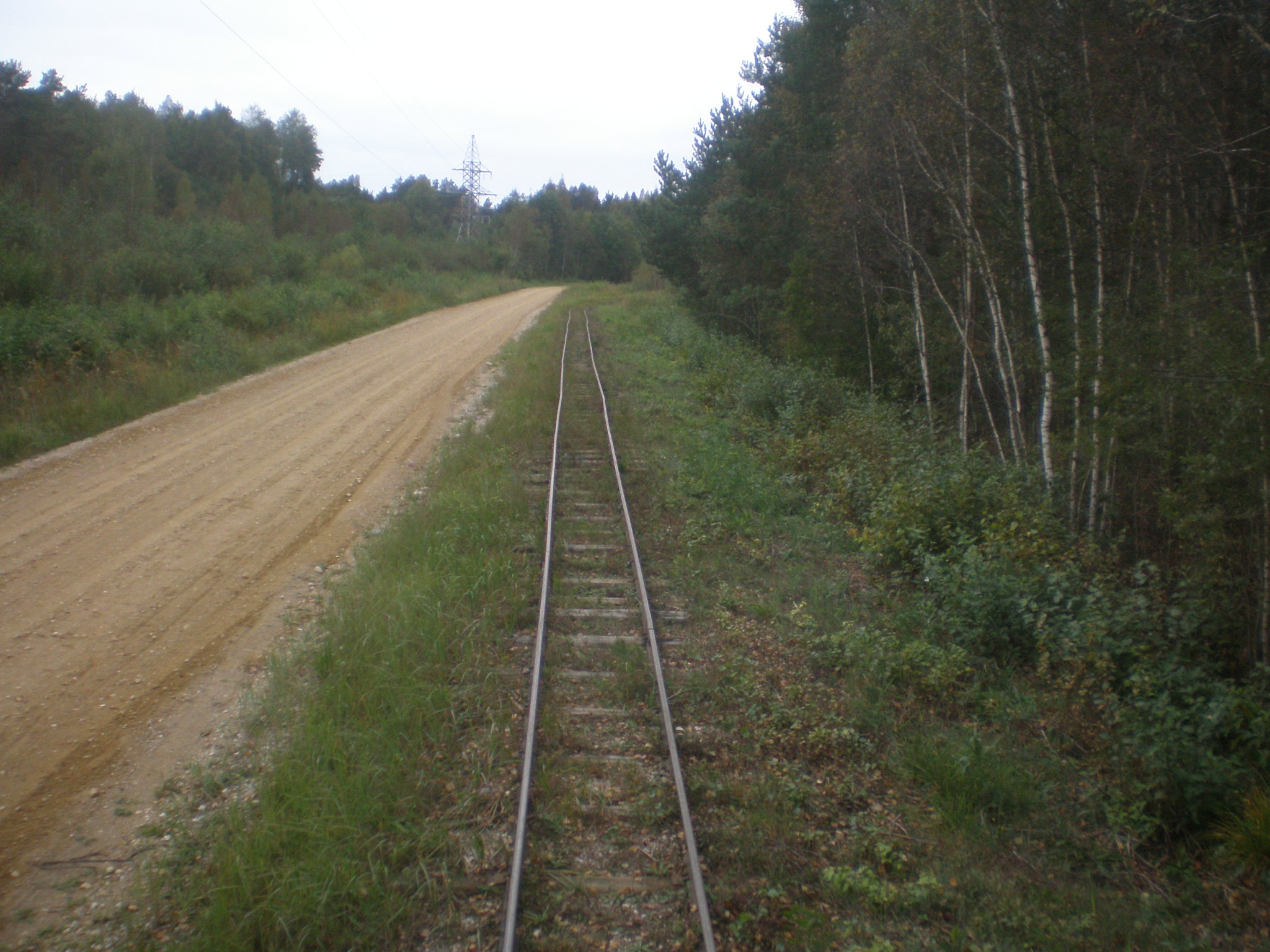 Узкоколейная железная дорога Тоотси — Лавассааре — фотографии, сделанные в 2008 году (часть 9)