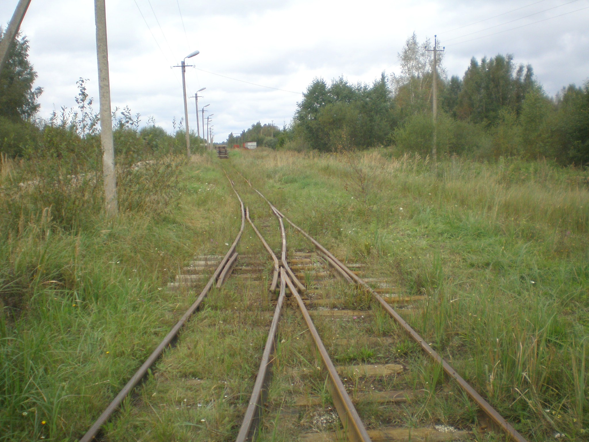 Узкоколейная железная дорога Тоотси — Лавассааре — фотографии, сделанные в 2008 году (часть 19)