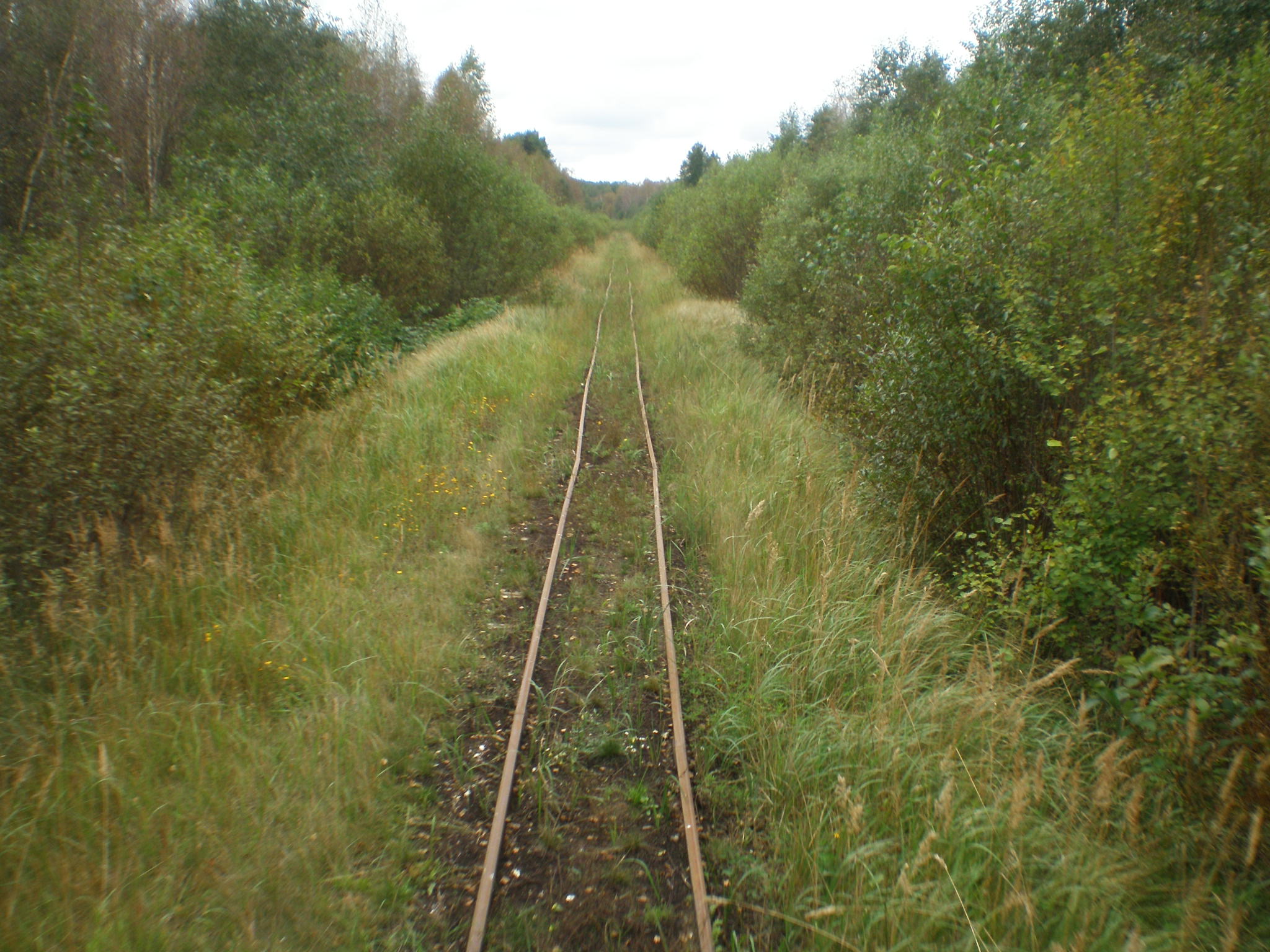 Узкоколейная железная дорога Тоотси — Лавассааре — фотографии, сделанные в 2008 году (часть 24)
