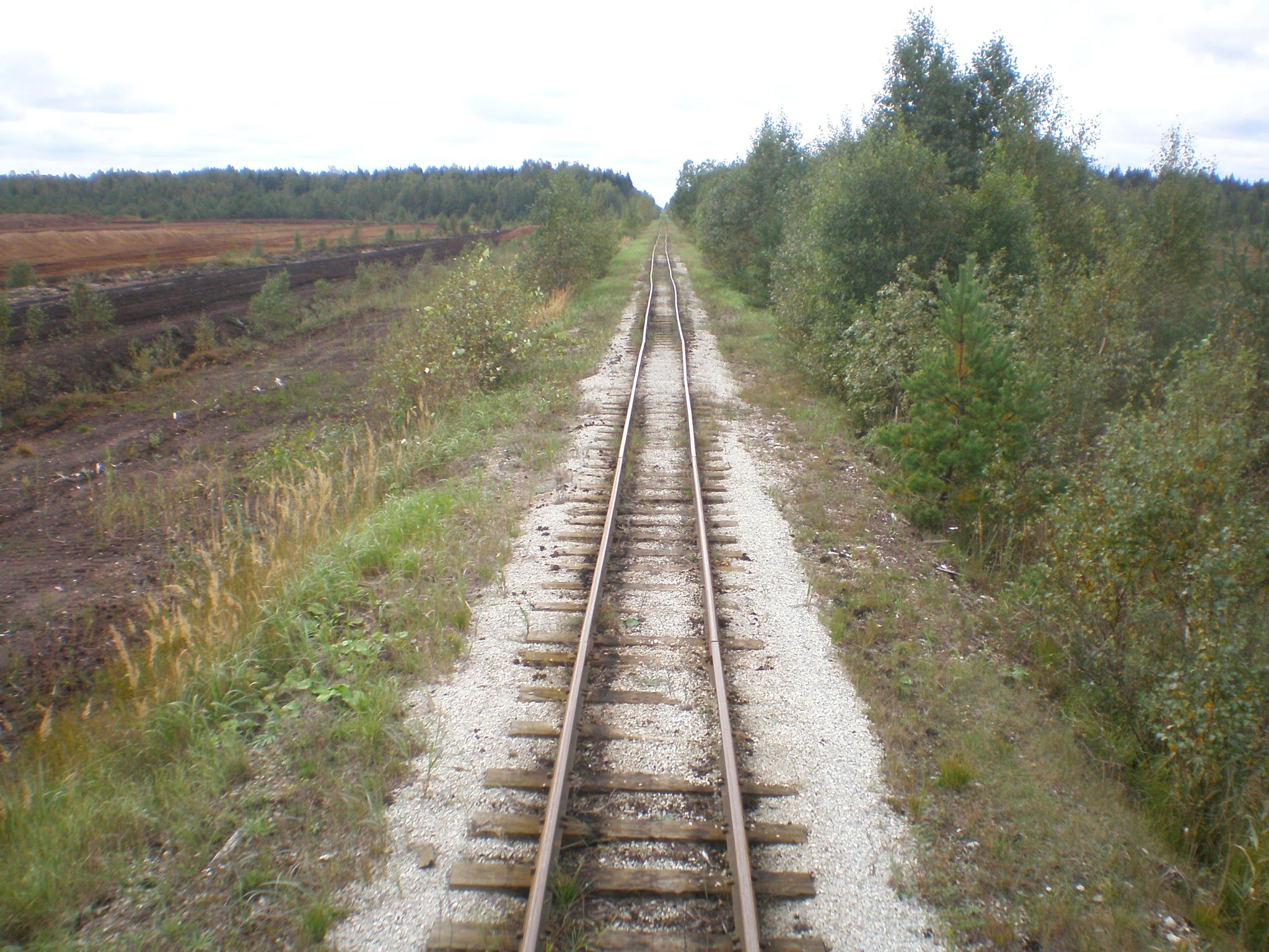 Узкоколейная железная дорога Тоотси — Лавассааре — фотографии, сделанные в 2008 году (часть 28)