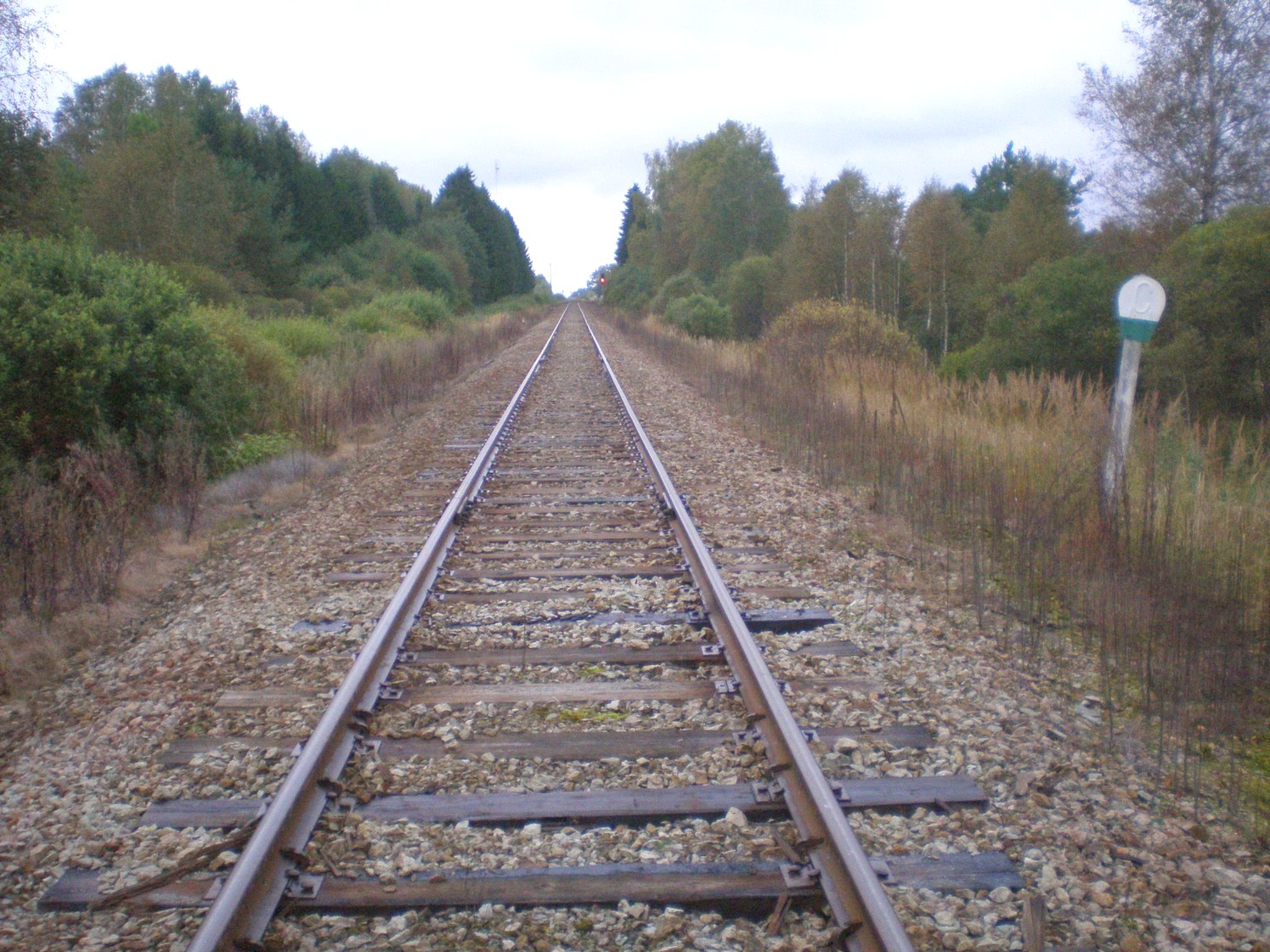 Железнодорожная линия Лелле — Вильянди  —  фотографии, сделанные в 2008 году (часть 5)
