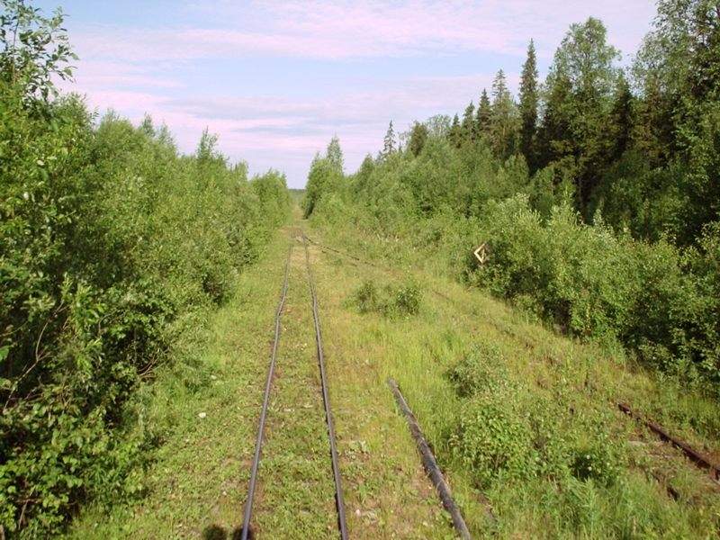 Авнюгская узкоколейная железная дорога - фотографии (часть 6)