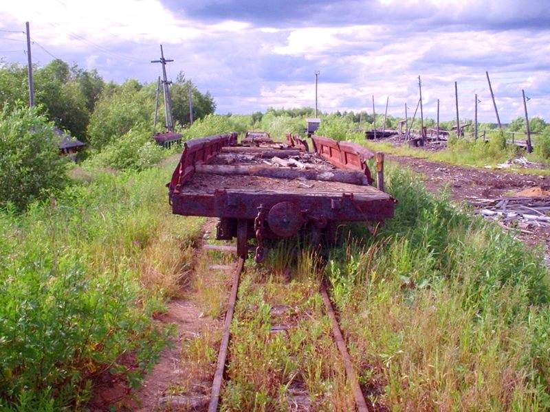 Авнюгская узкоколейная железная дорога - фотографии (часть 4)