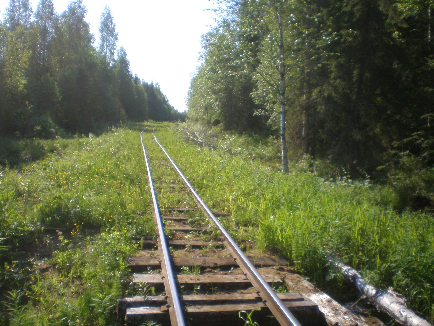 Ивакшанская узкоколейная железная дорога — фотографии, сделанные в 2009 году (часть 11)