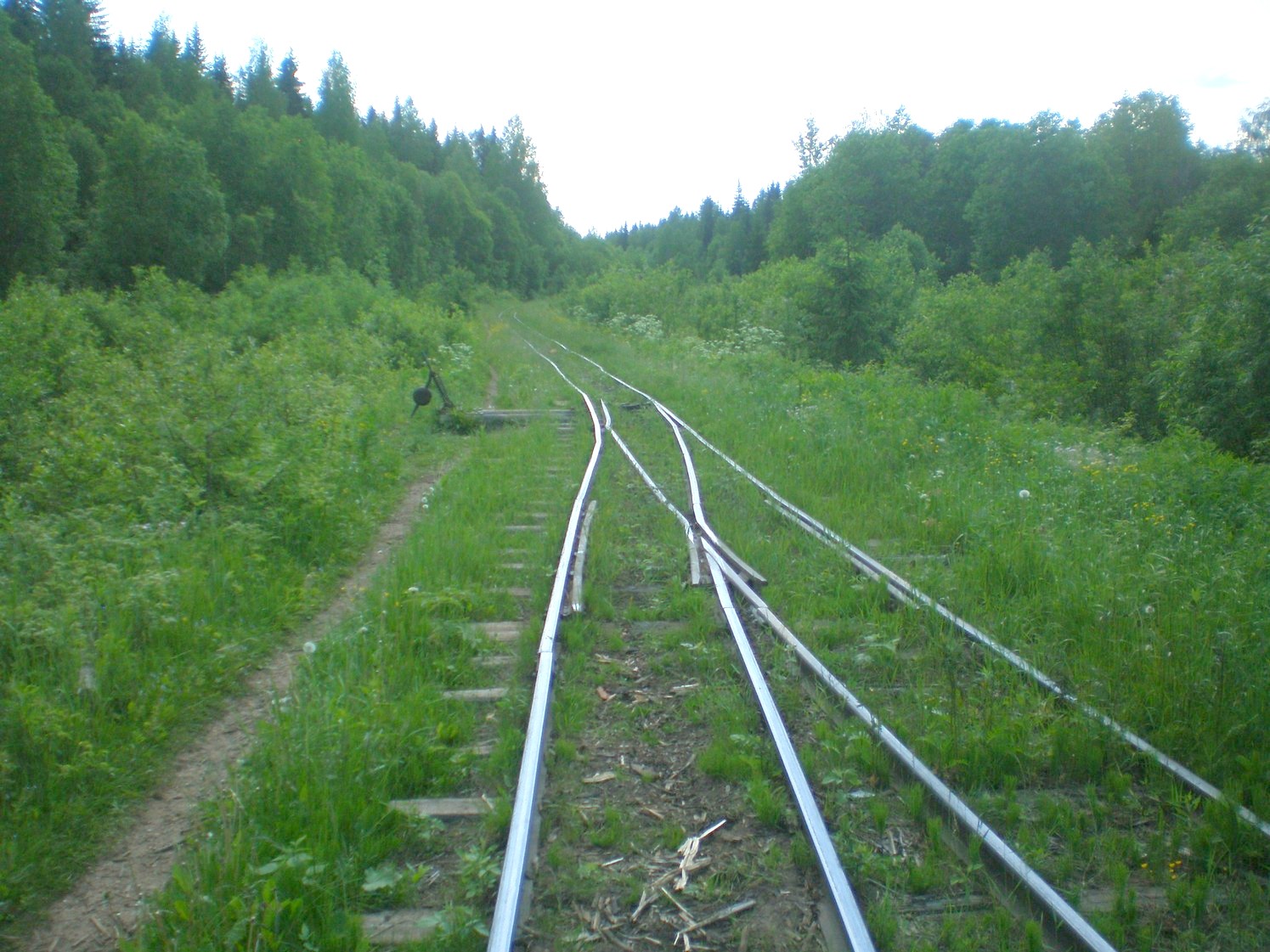 Ивакшанская узкоколейная железная дорога — фотографии, сделанные в 2009 году (часть 19)