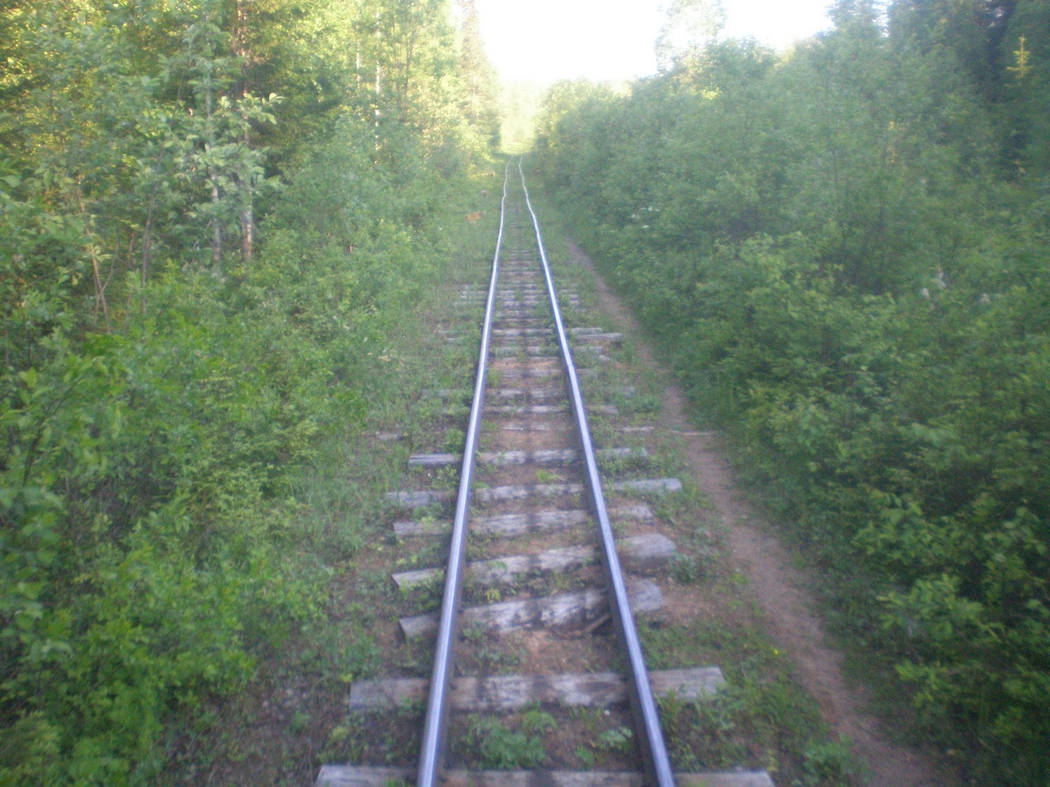 Ивакшанская узкоколейная железная дорога — фотографии, сделанные в 2009 году (часть 3)